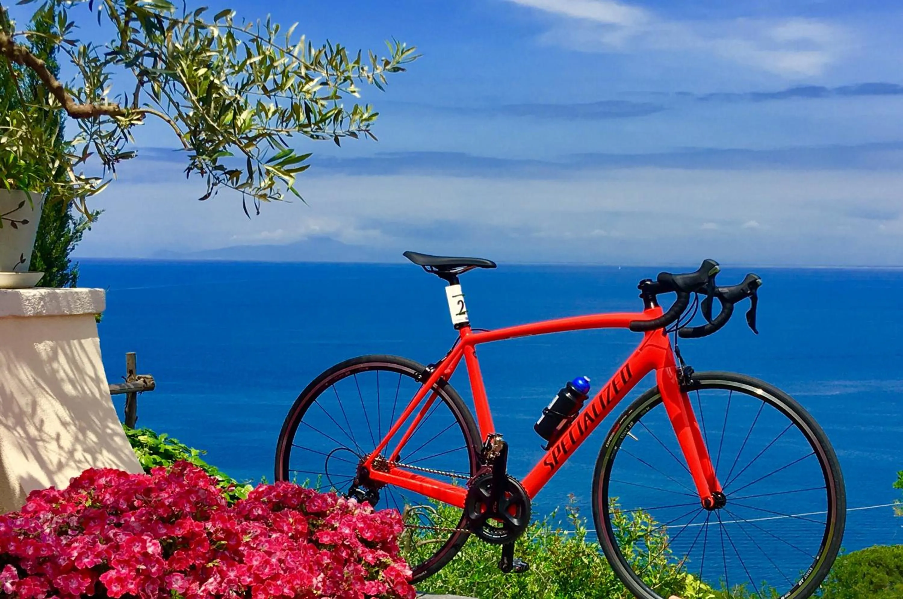 Agapanto Luxury Accommodation