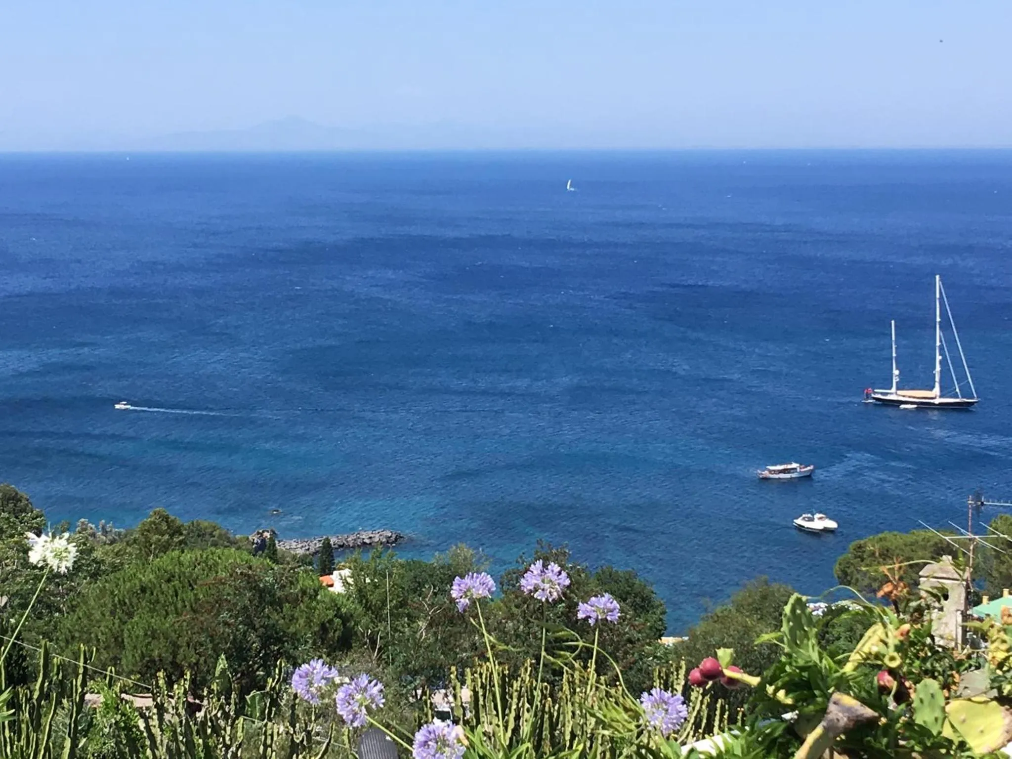 Agapanto Luxury Accommodation