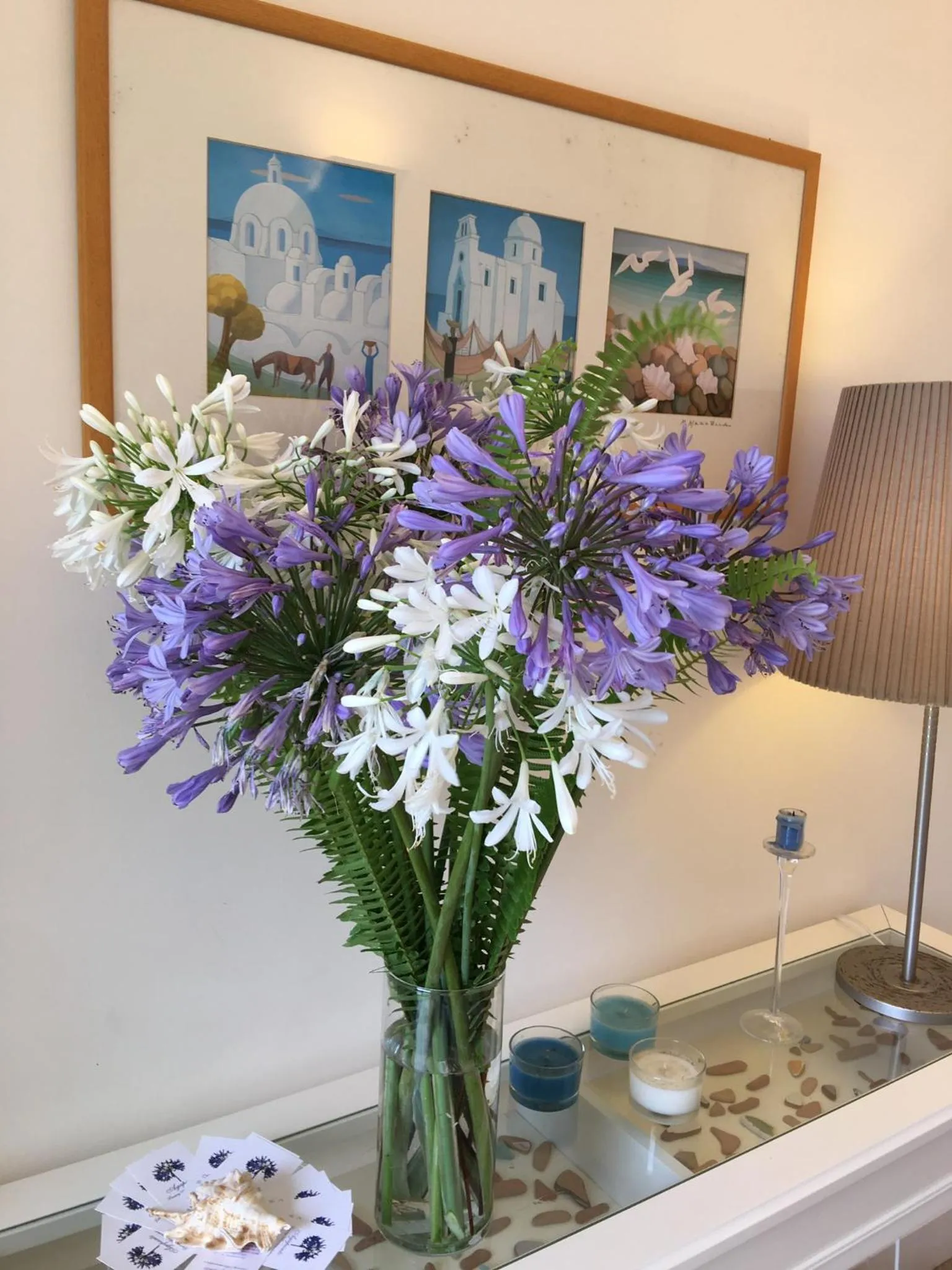 Agapanto Luxury Accommodation