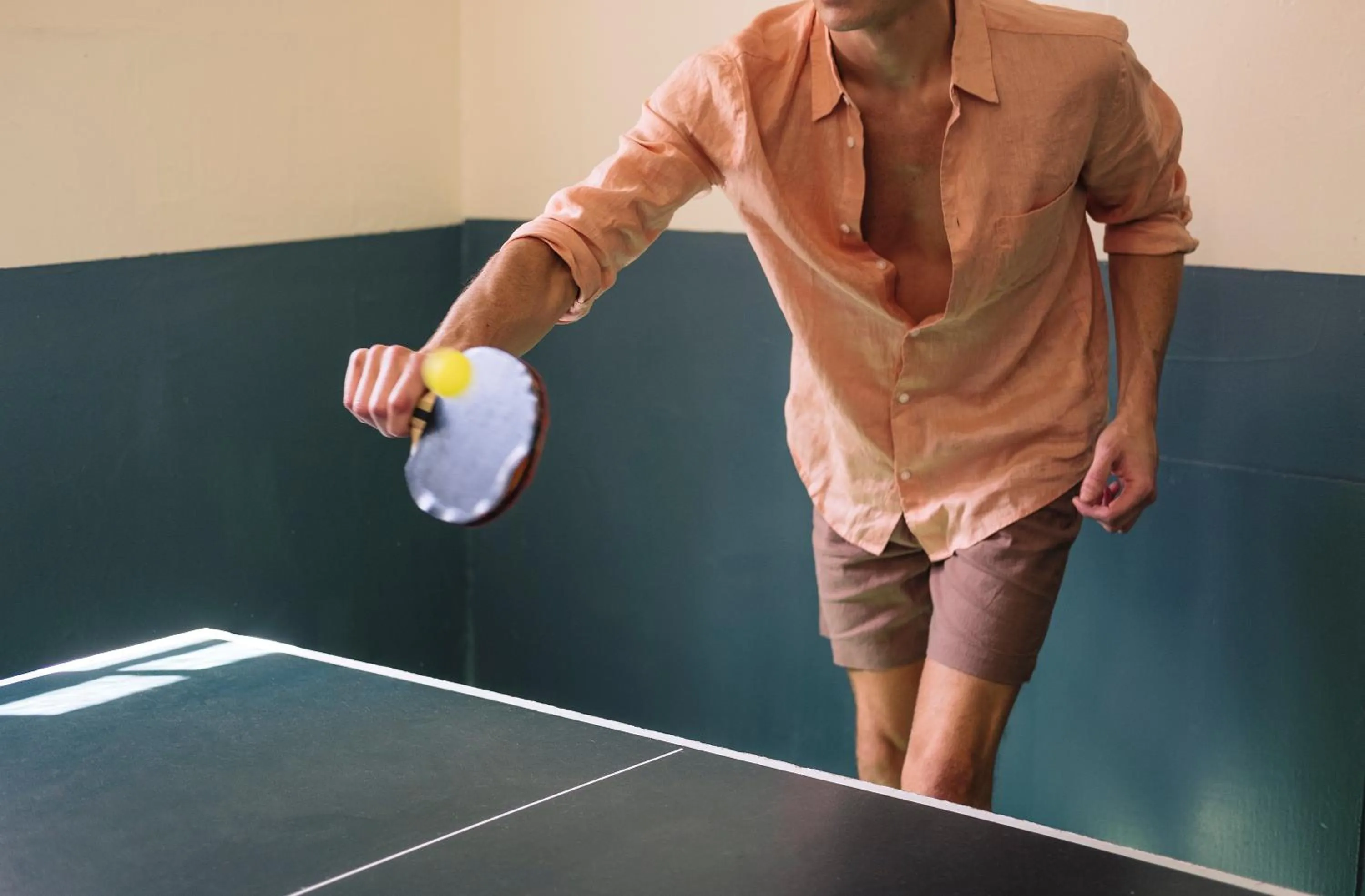 Table tennis in The Red Lion Inn