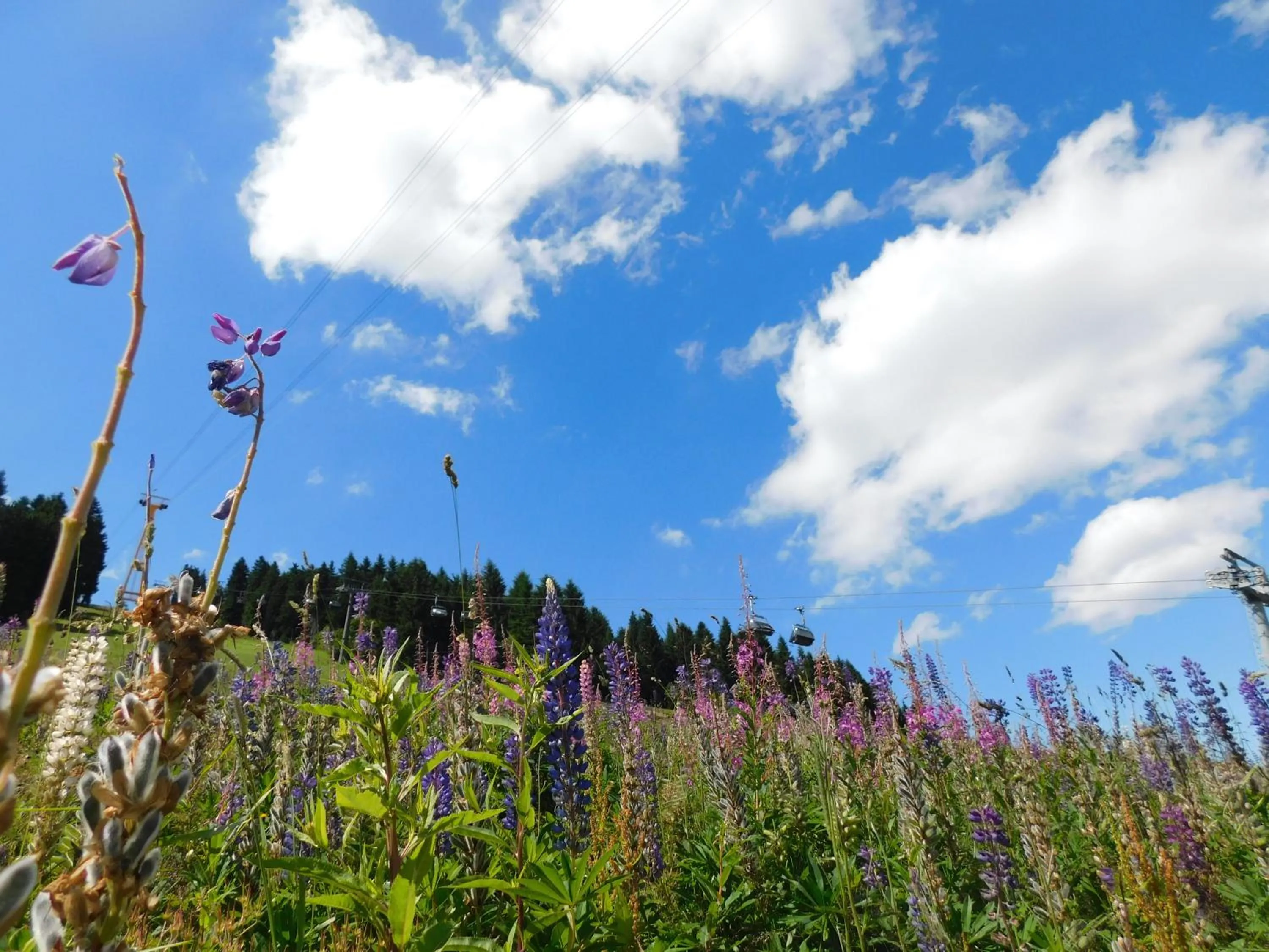 Off site in Rathaushotels All Inklusive