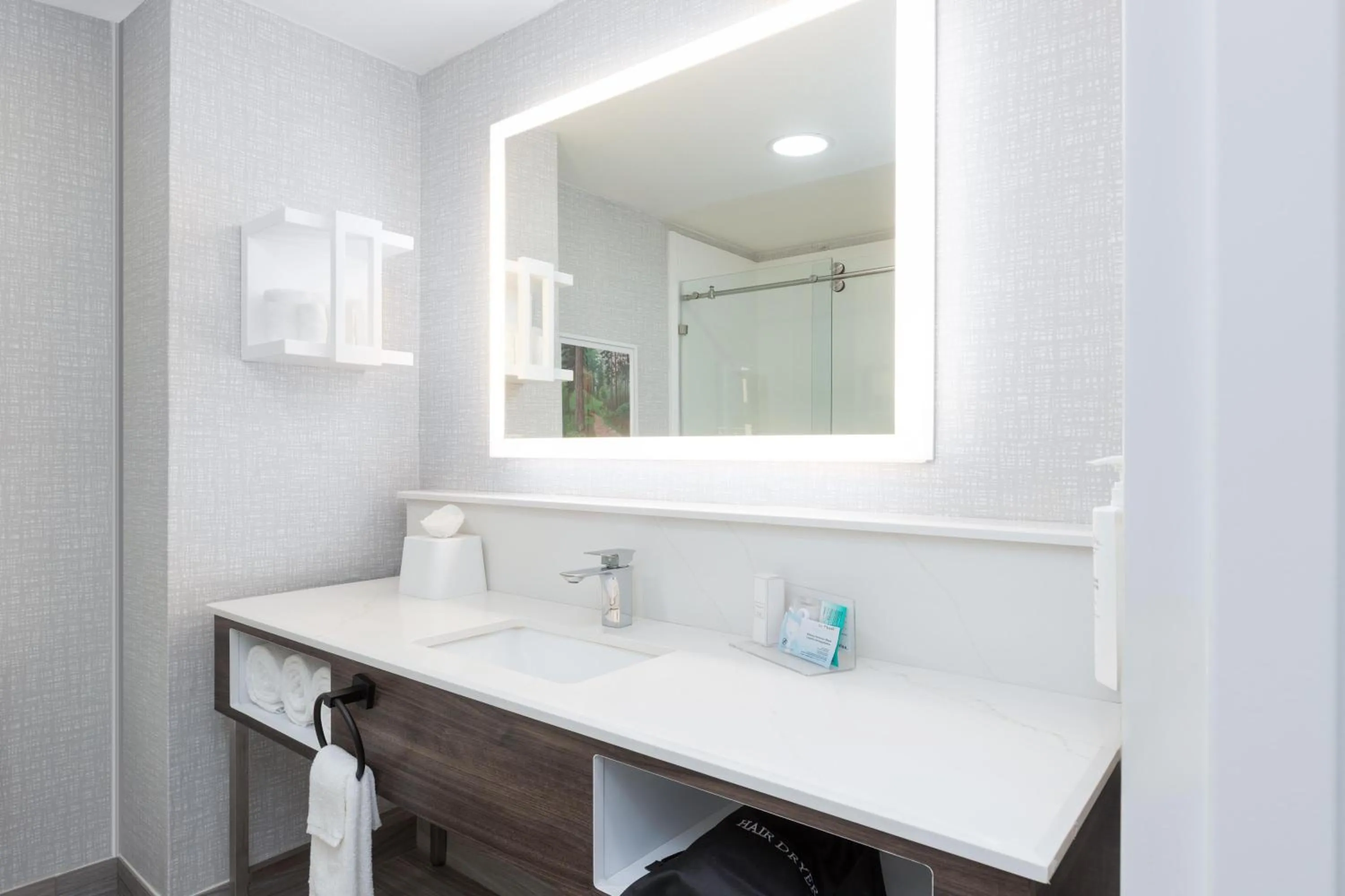 Bathroom in Hampton Inn Houston-Deer Park Ship Area