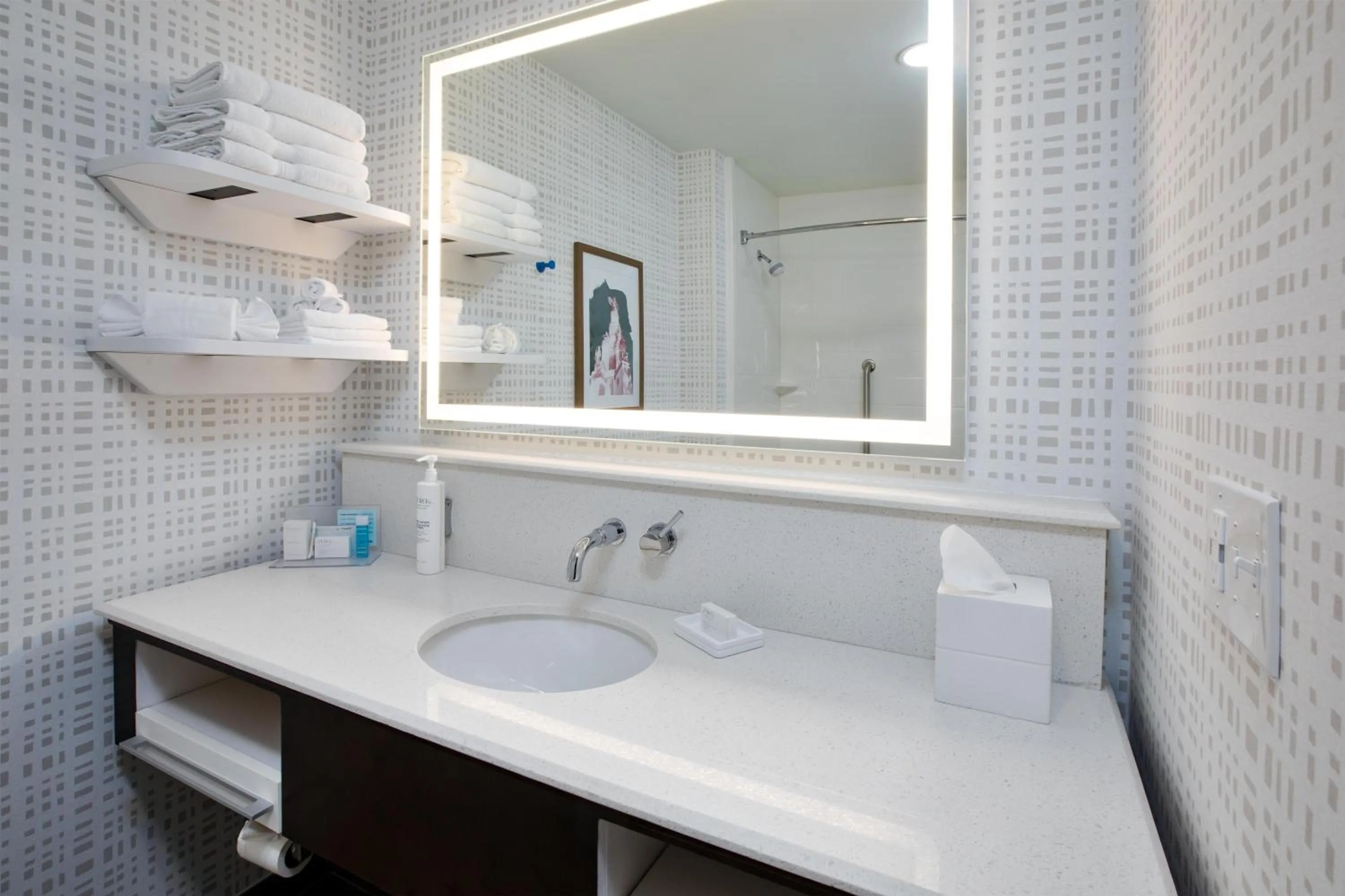 Bathroom in Hampton Inn Detroit/Belleville-Airport Area