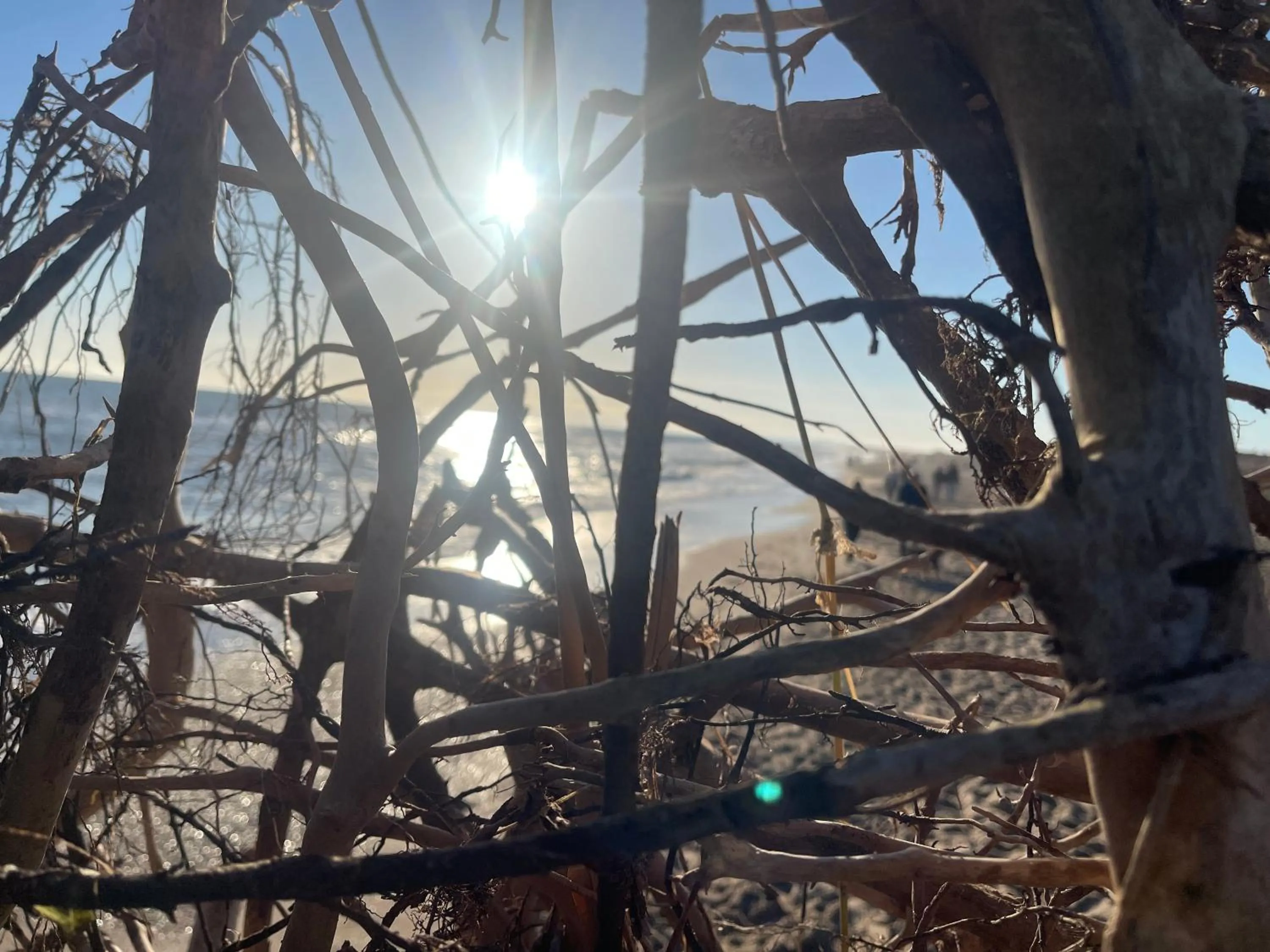 Beach in Hôtel Paul Riquet