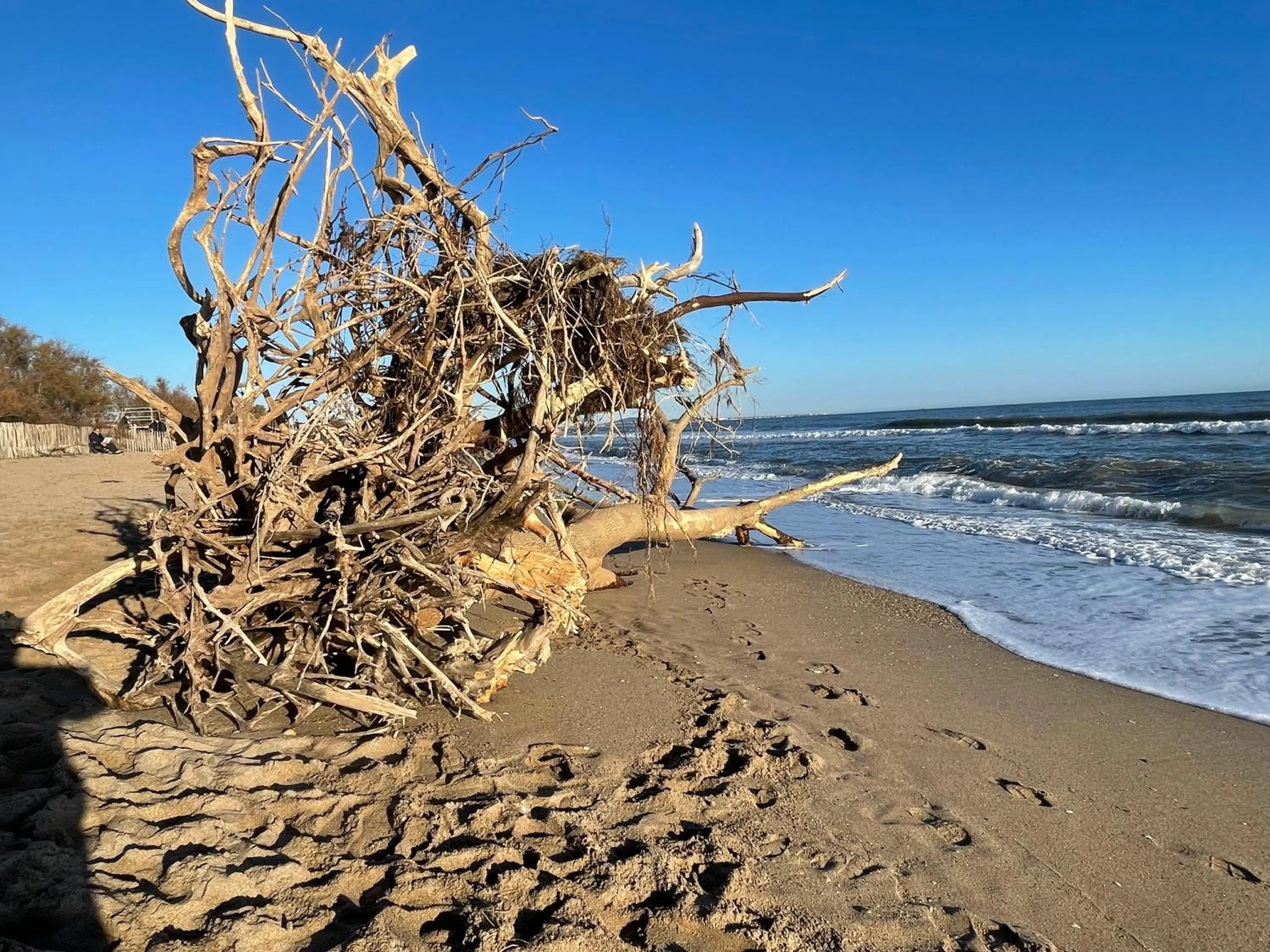 Beach in Hôtel Paul Riquet