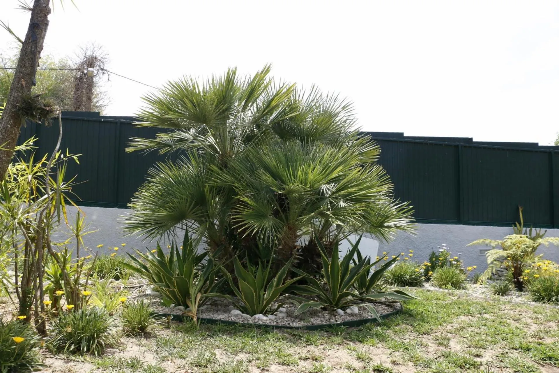 Garden in Casa Teresinha
