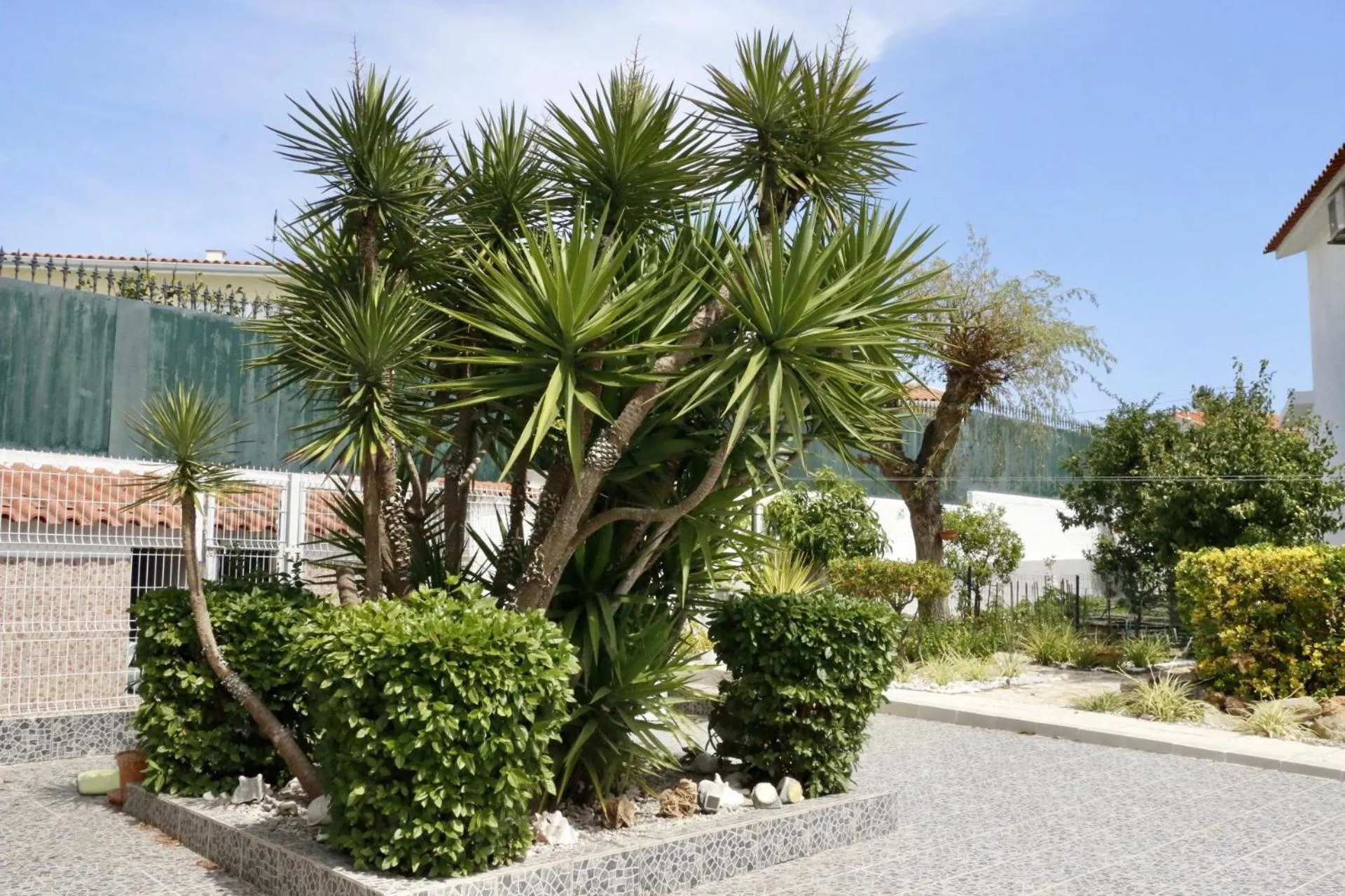 Garden in Casa Teresinha