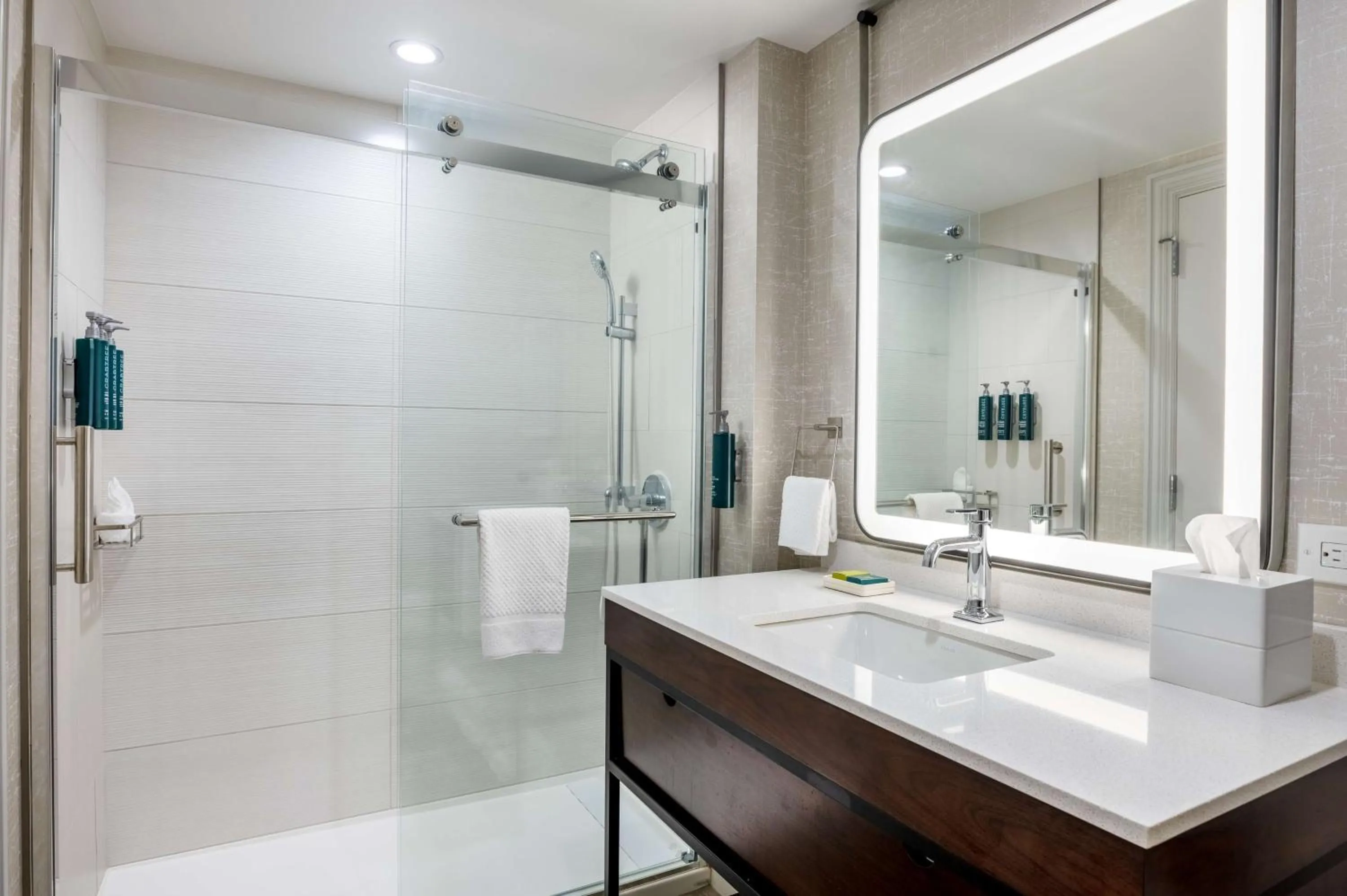 Bathroom in Hilton Galveston Island Resort