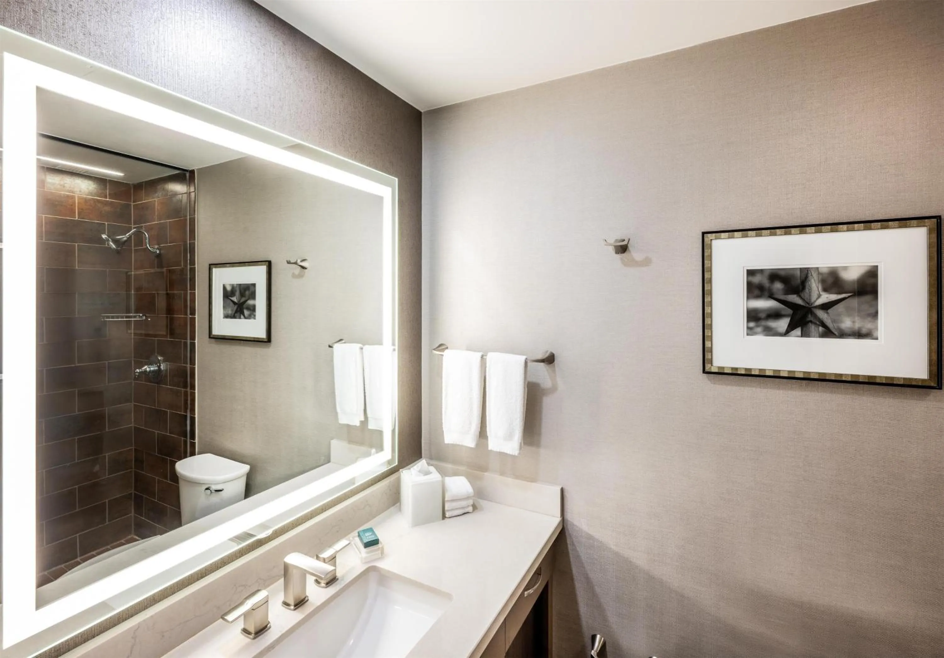 Bathroom in Hilton DFW Lakes Executive Conference Center