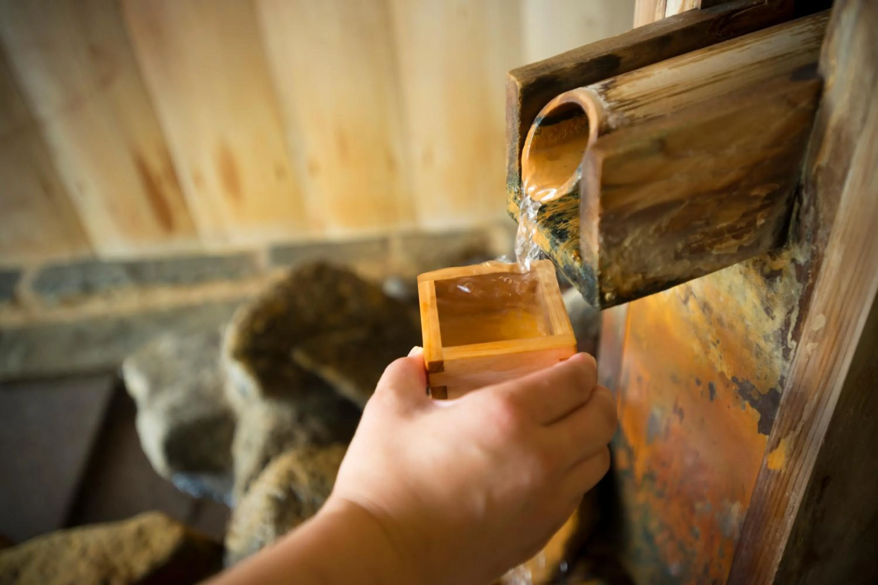 Hot Spring Bath in Kanoya Kourakuen