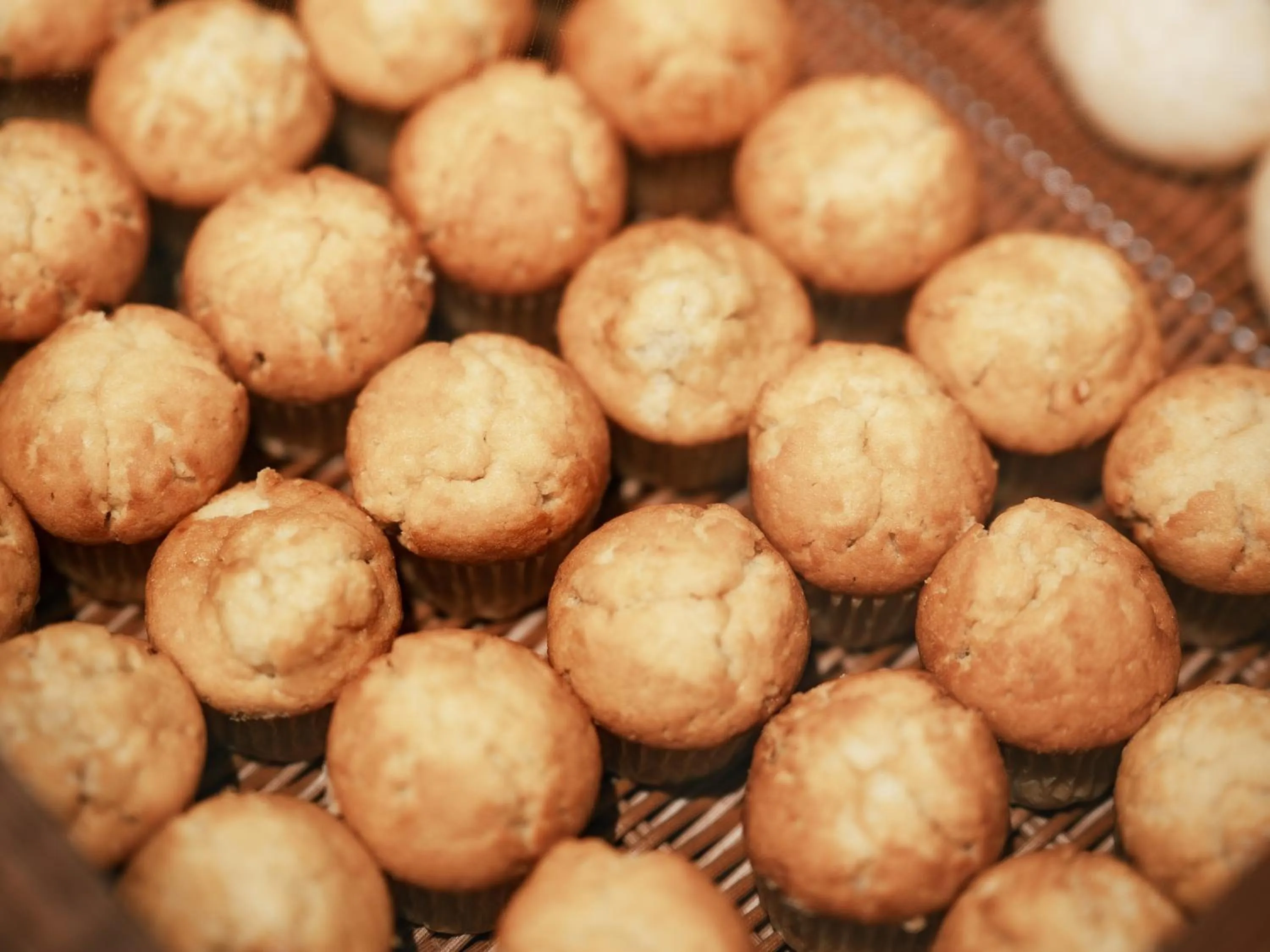 Buffet breakfast in Kinugawa Hotel Mikazuki