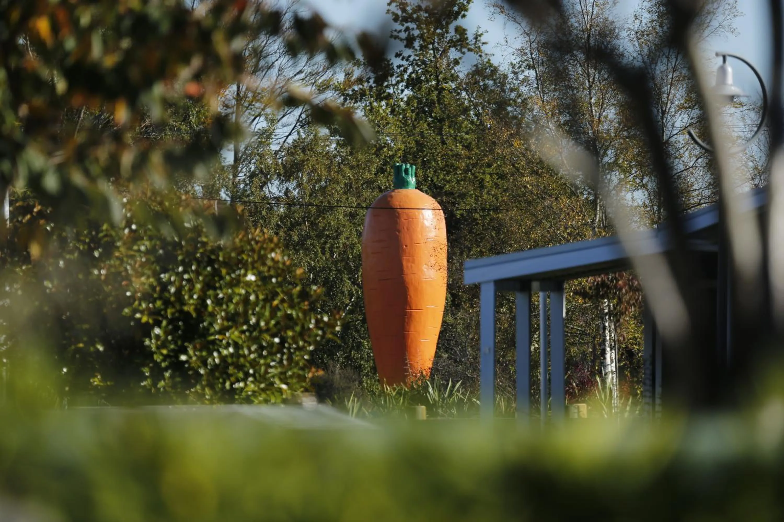 Nearby landmark in Rocky Mountain Chalets Ohakune