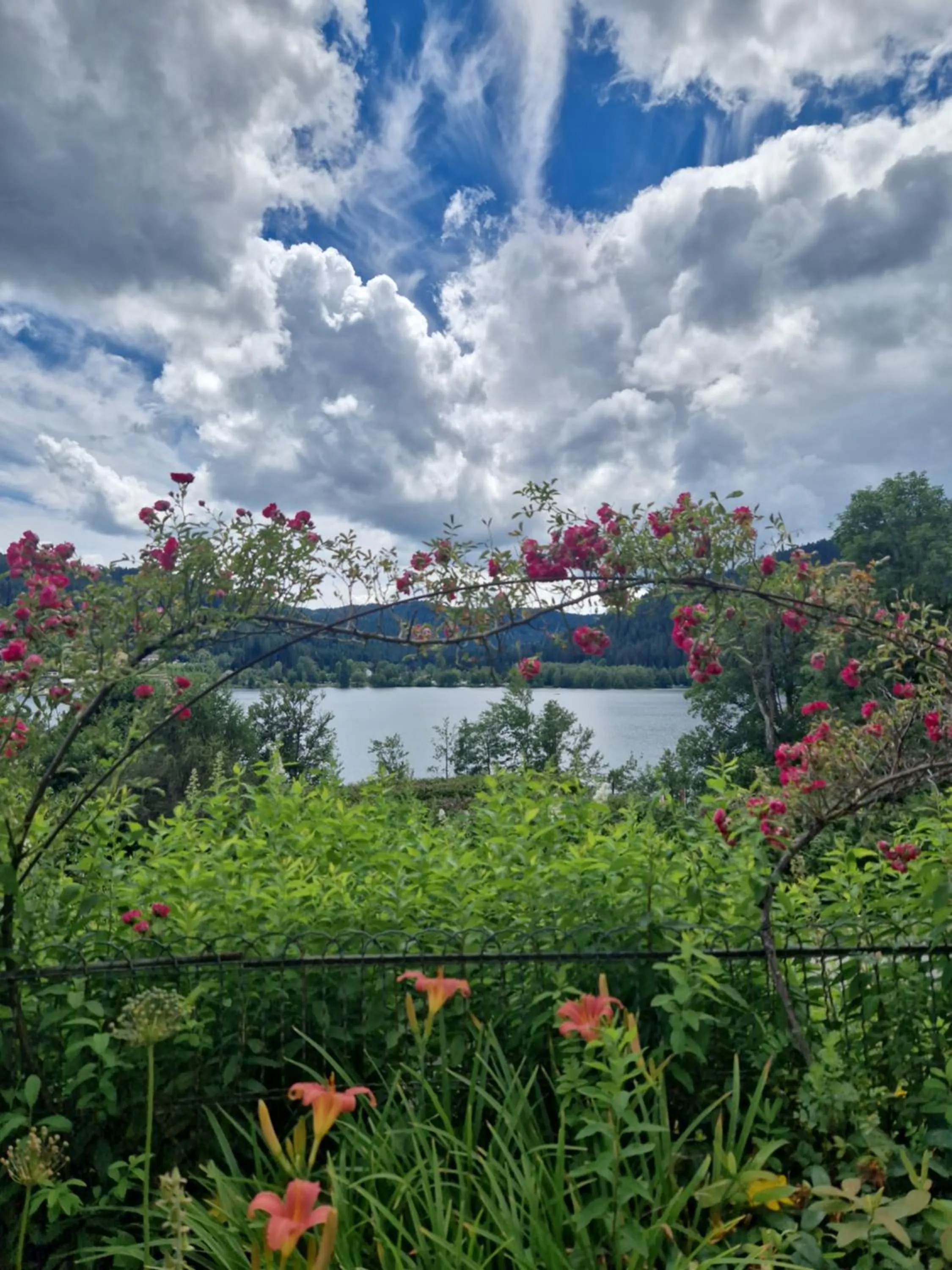 Garden in Le Manoir Au Lac