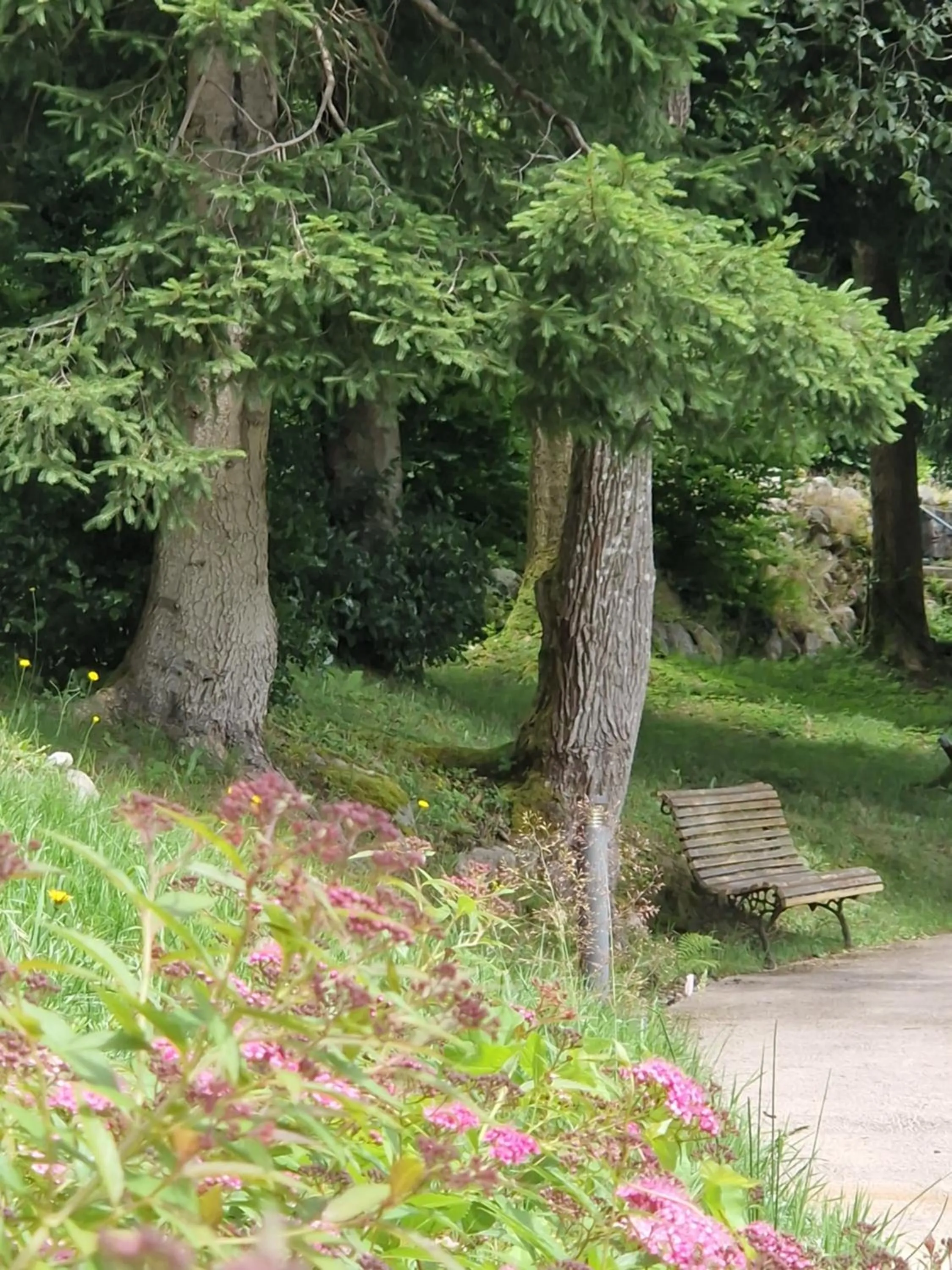 Natural landscape in Le Manoir Au Lac