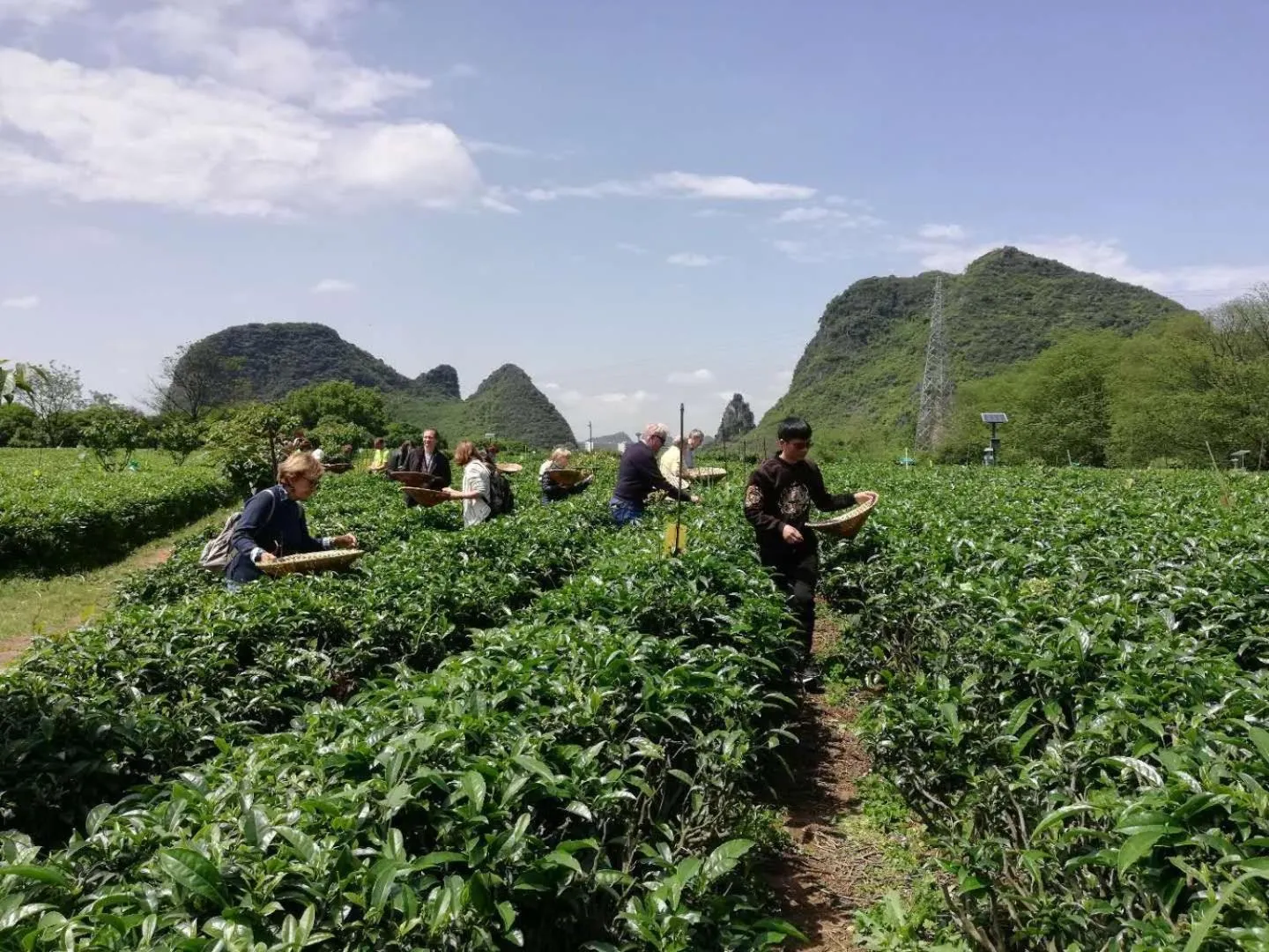 Natural landscape in Secret Courtyard Resort Hotel