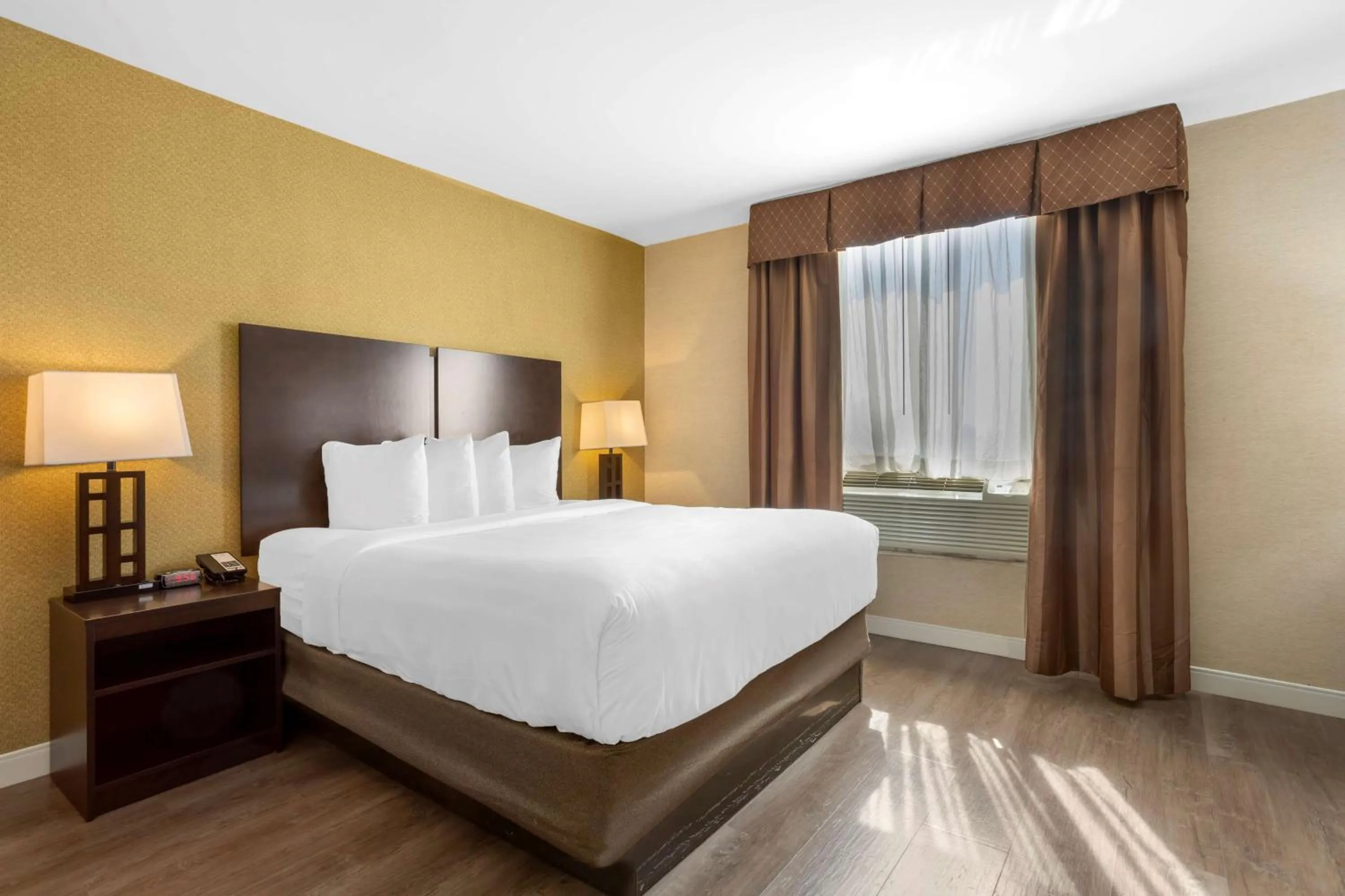 Bedroom in Best Western Plus Plaza Hotel