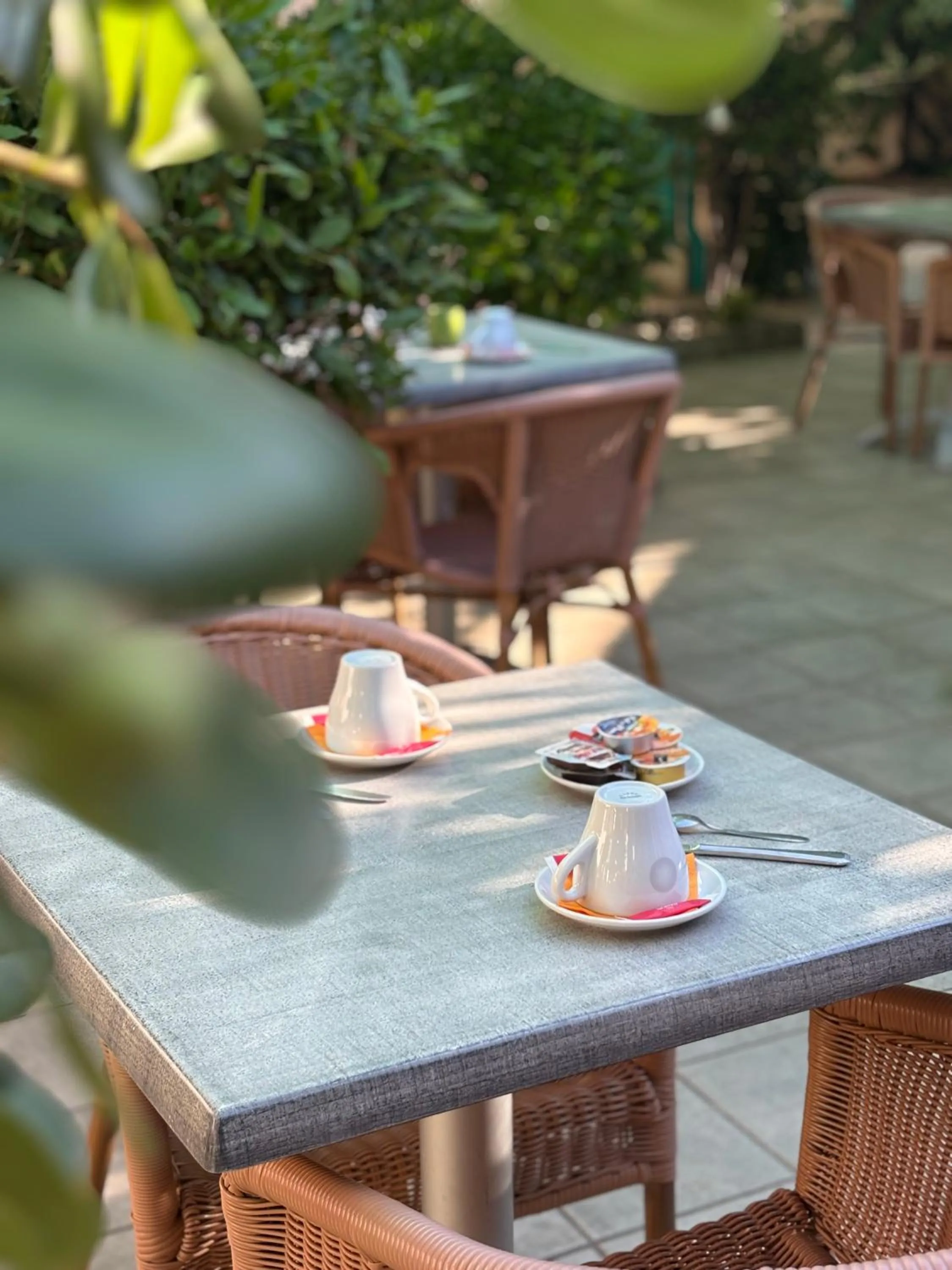 Garden in Hôtel Orange Marine