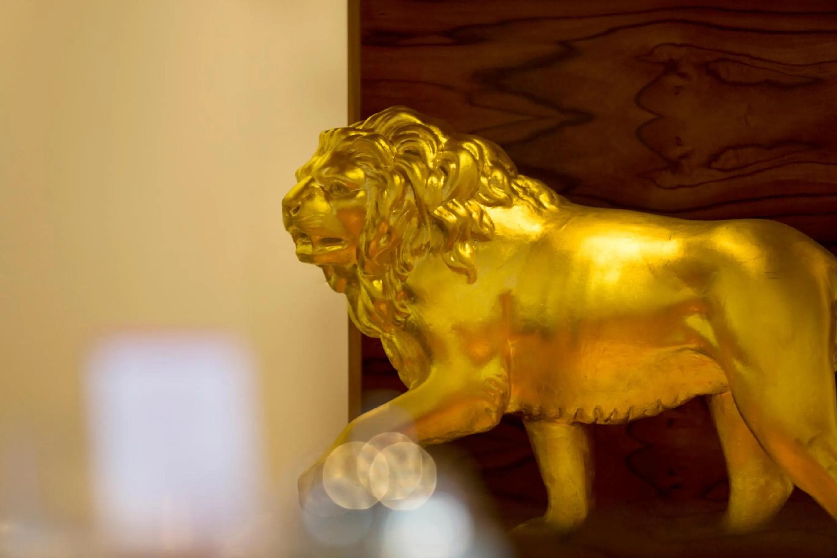 Lobby or reception in Hotel Schwärs Löwen Freiburg