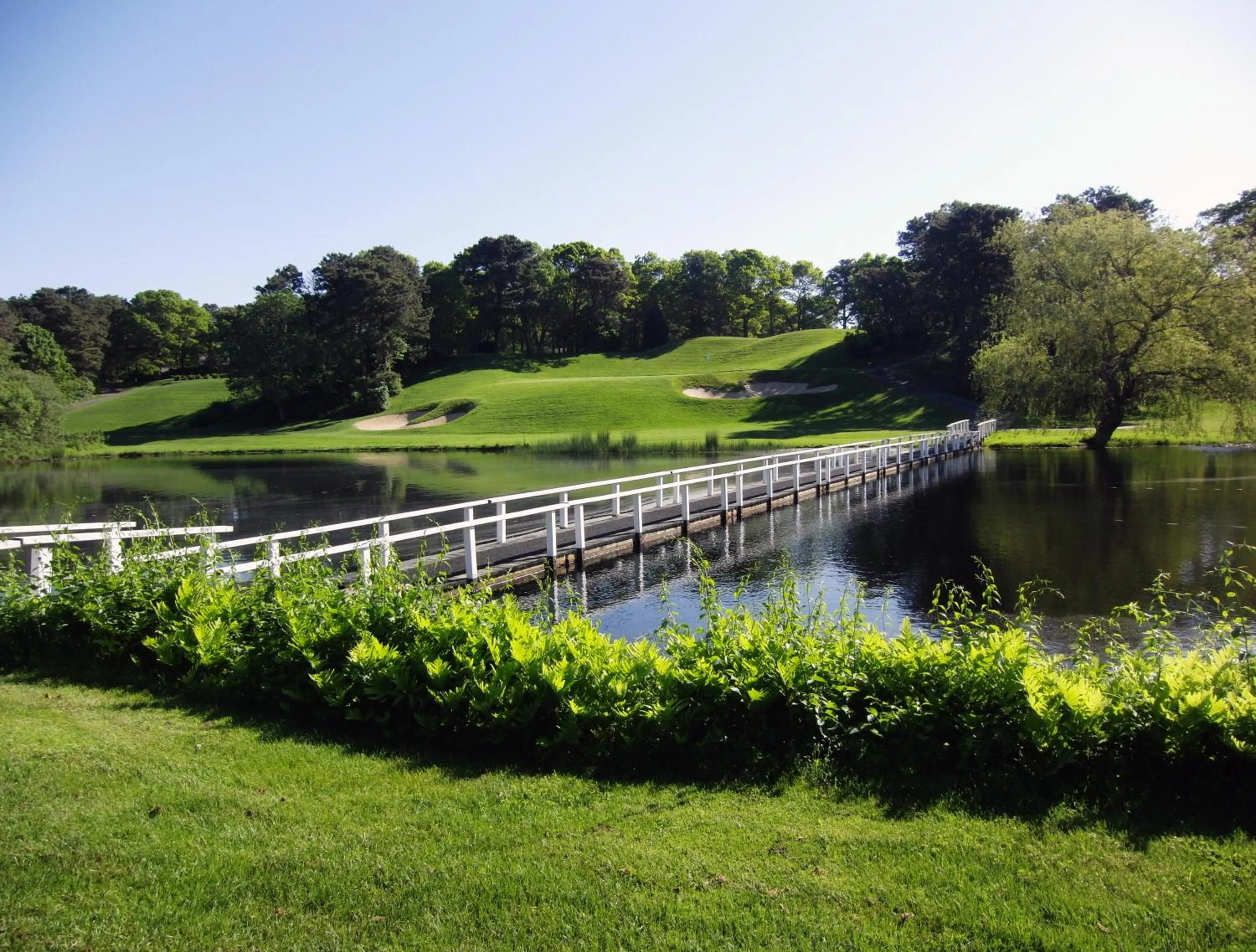 Garden in Blue Rock Resort
