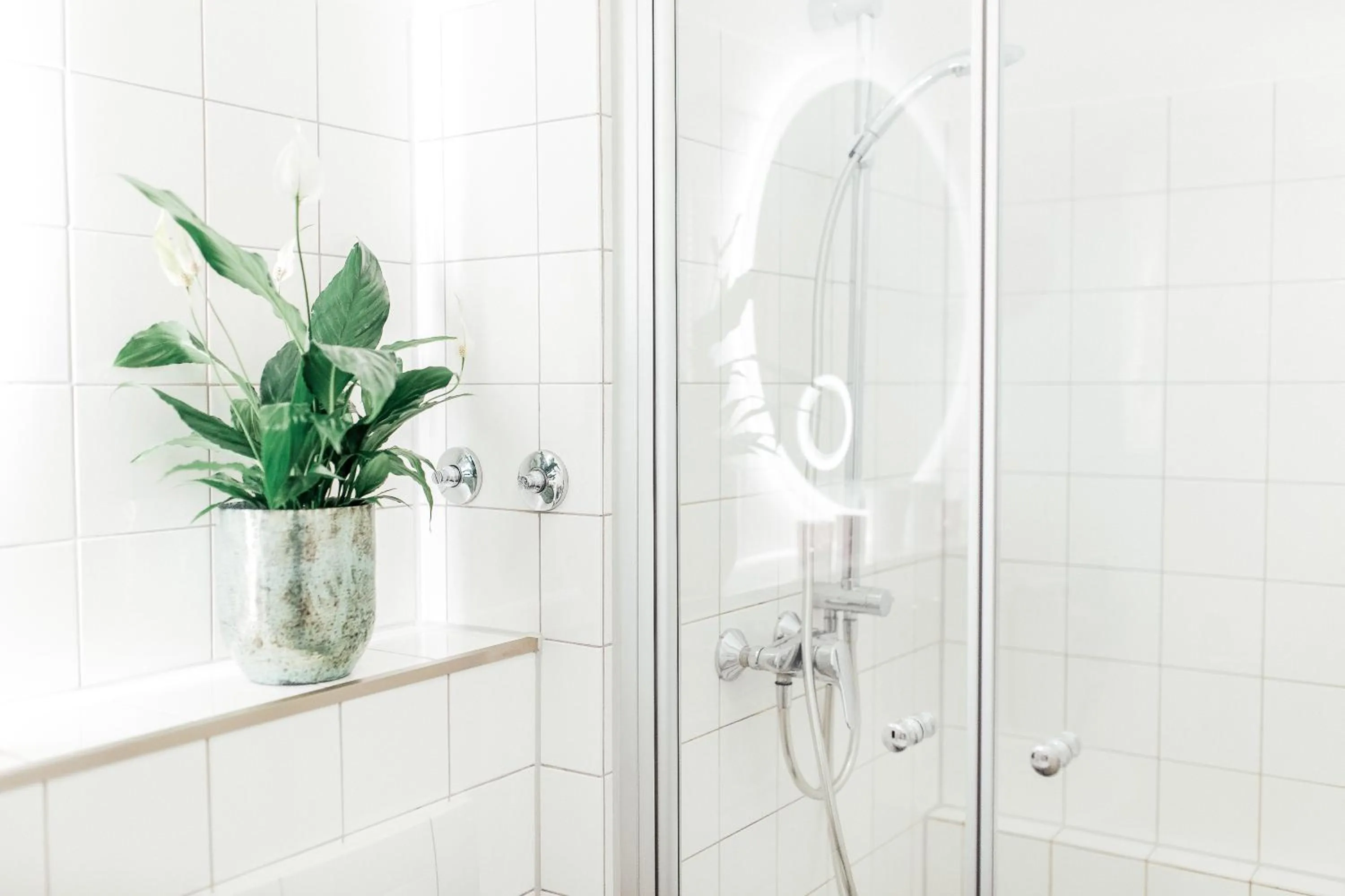 Shower in Denner Hotel