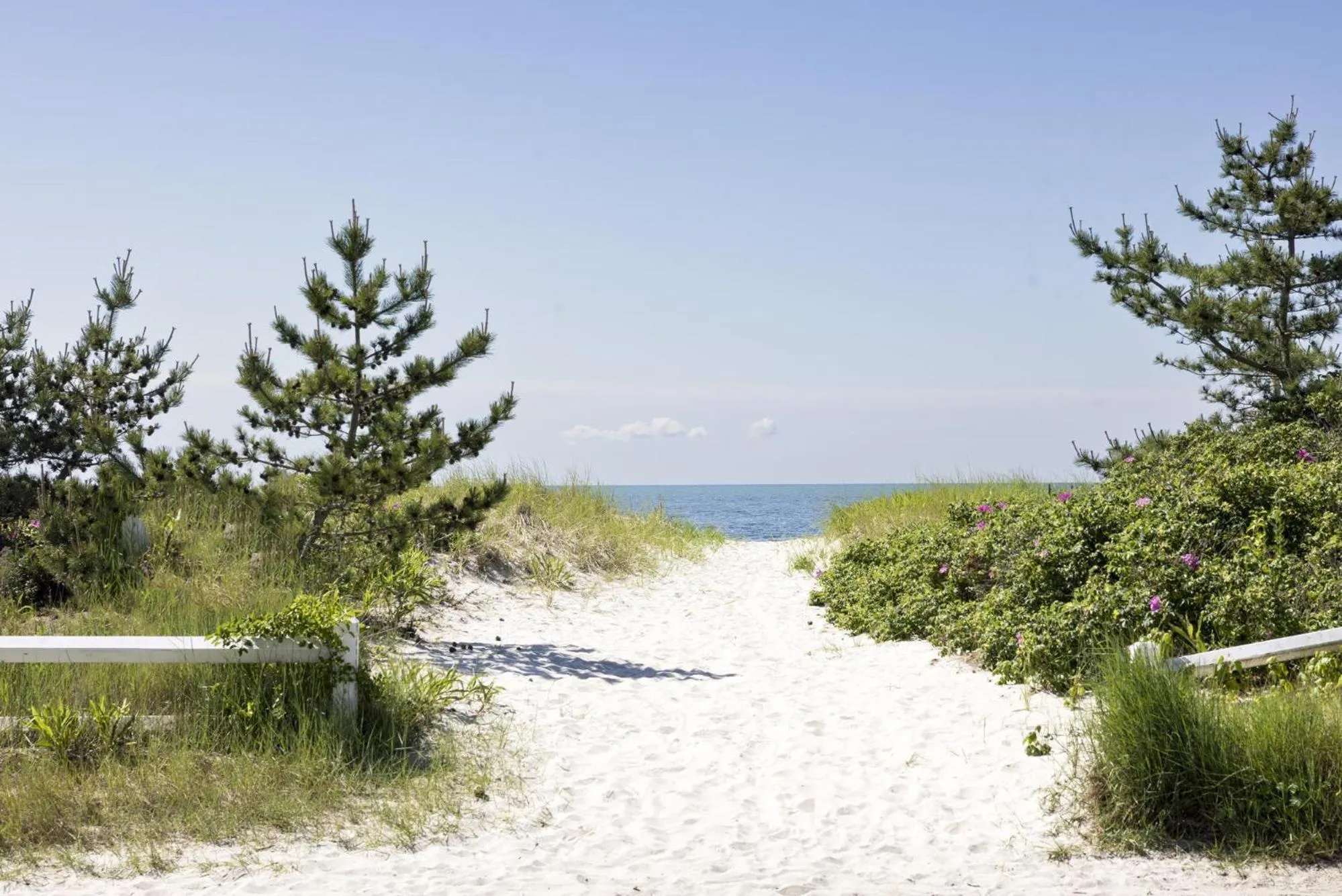 Beach in Red Jacket Beach Resort