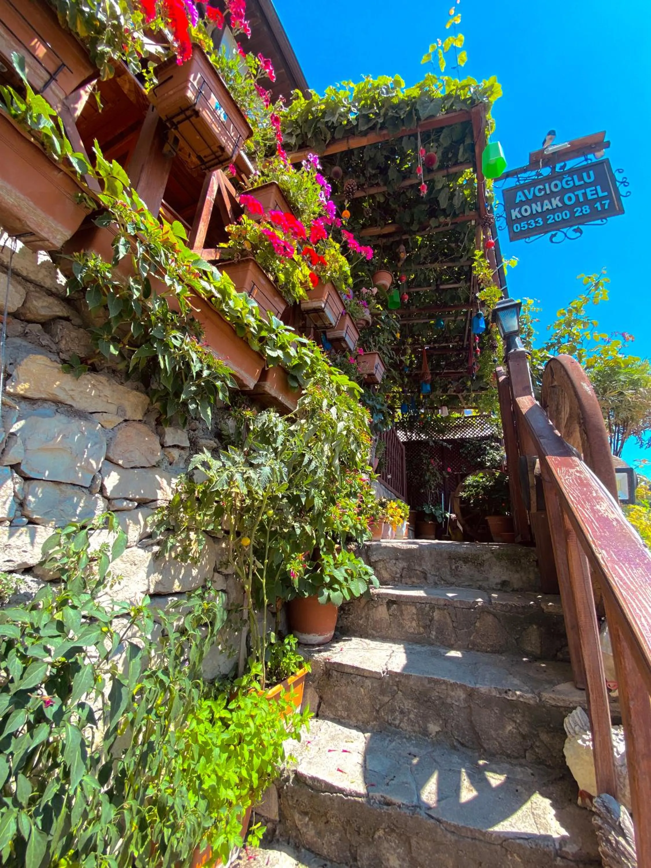 Patio in Avcıoğlu Konak Otel