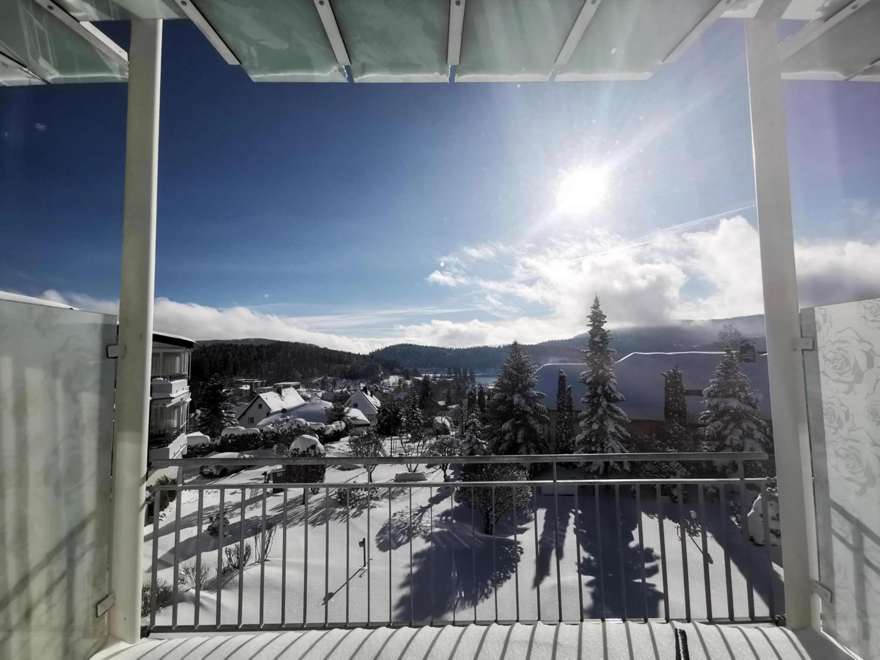 Lake view in Parkhotel Flora am Schluchsee