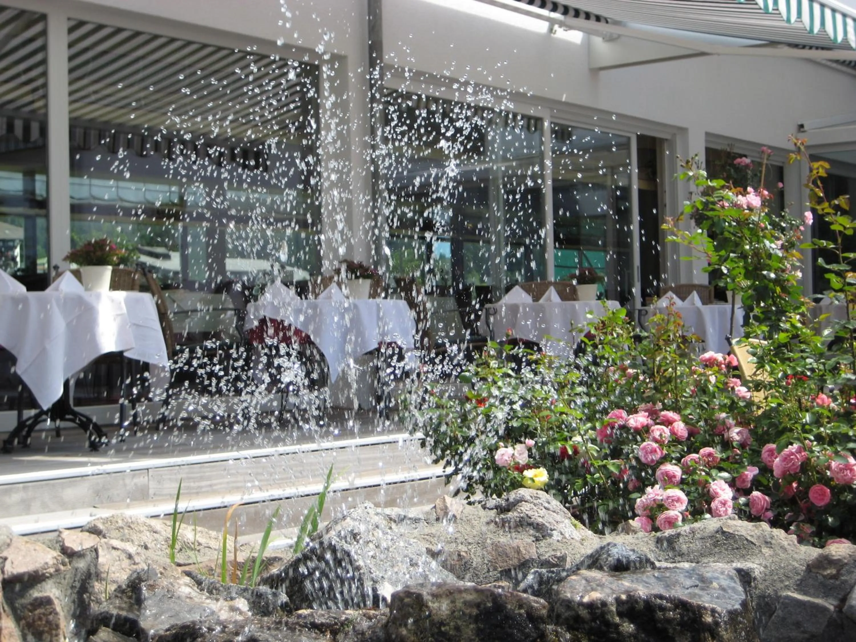 Garden in Parkhotel Flora am Schluchsee