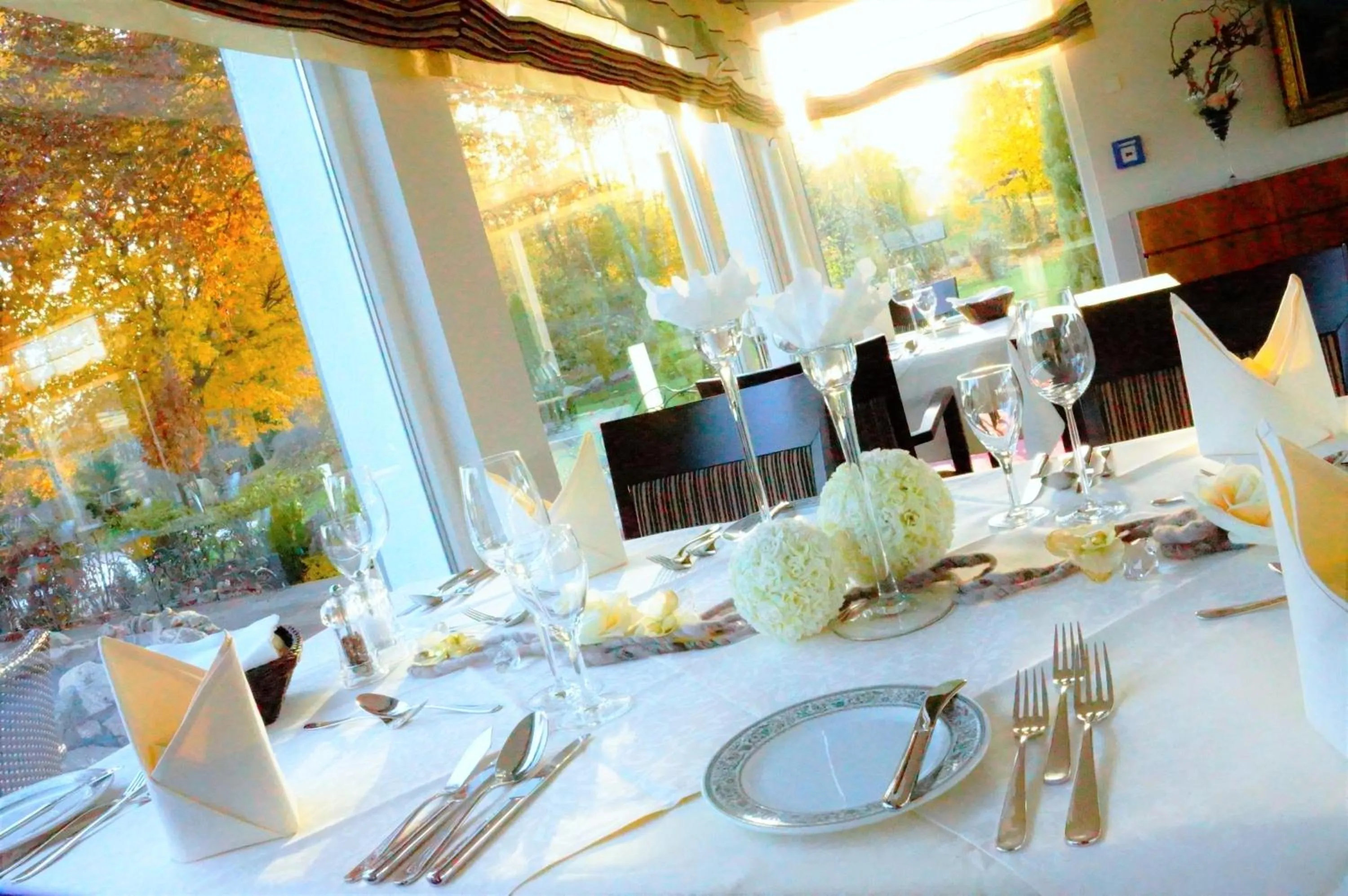 Restaurant/places to eat in Parkhotel Flora am Schluchsee