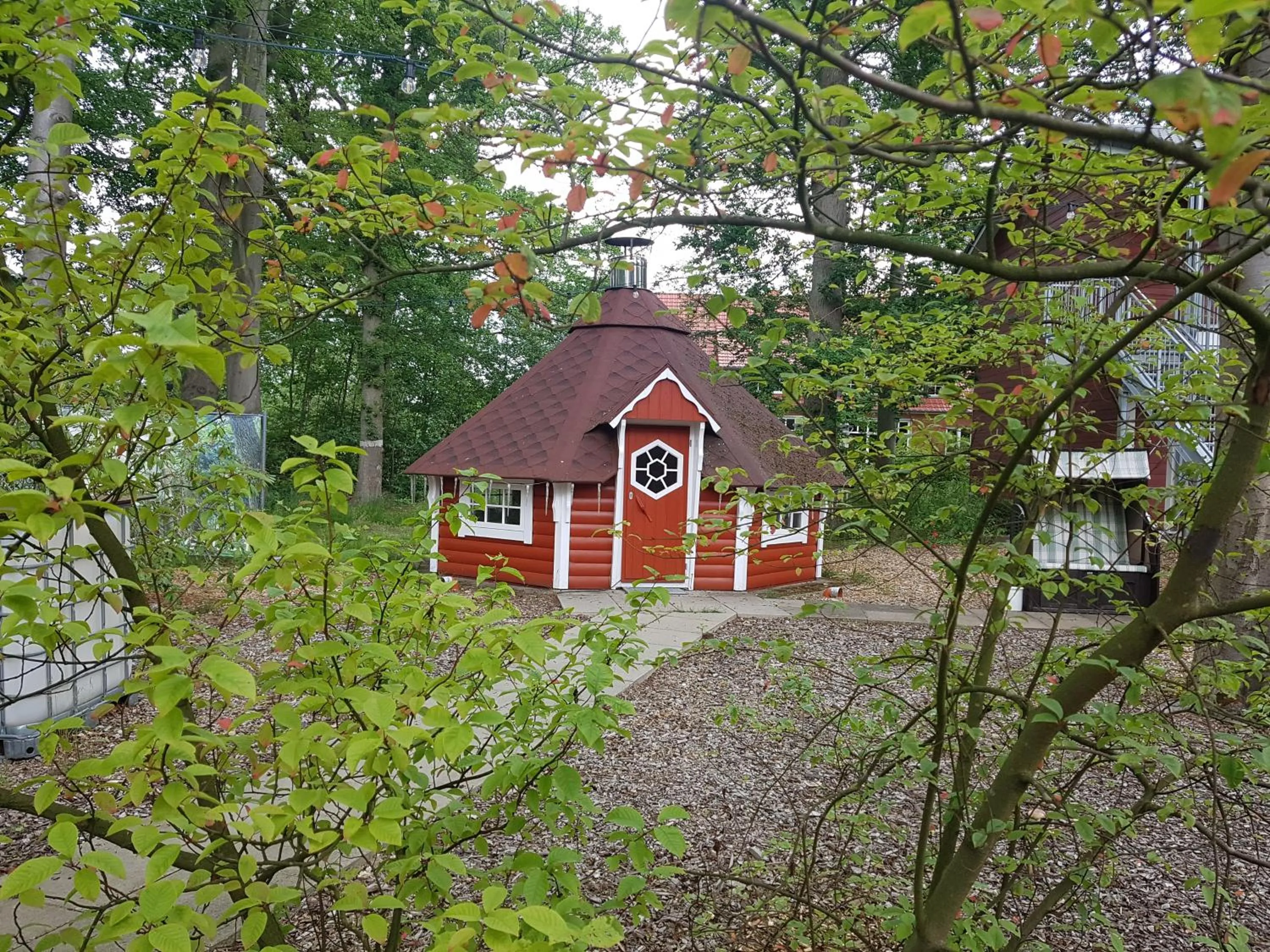 Activities in Kräuterhotel & Restaurant Heidejäger