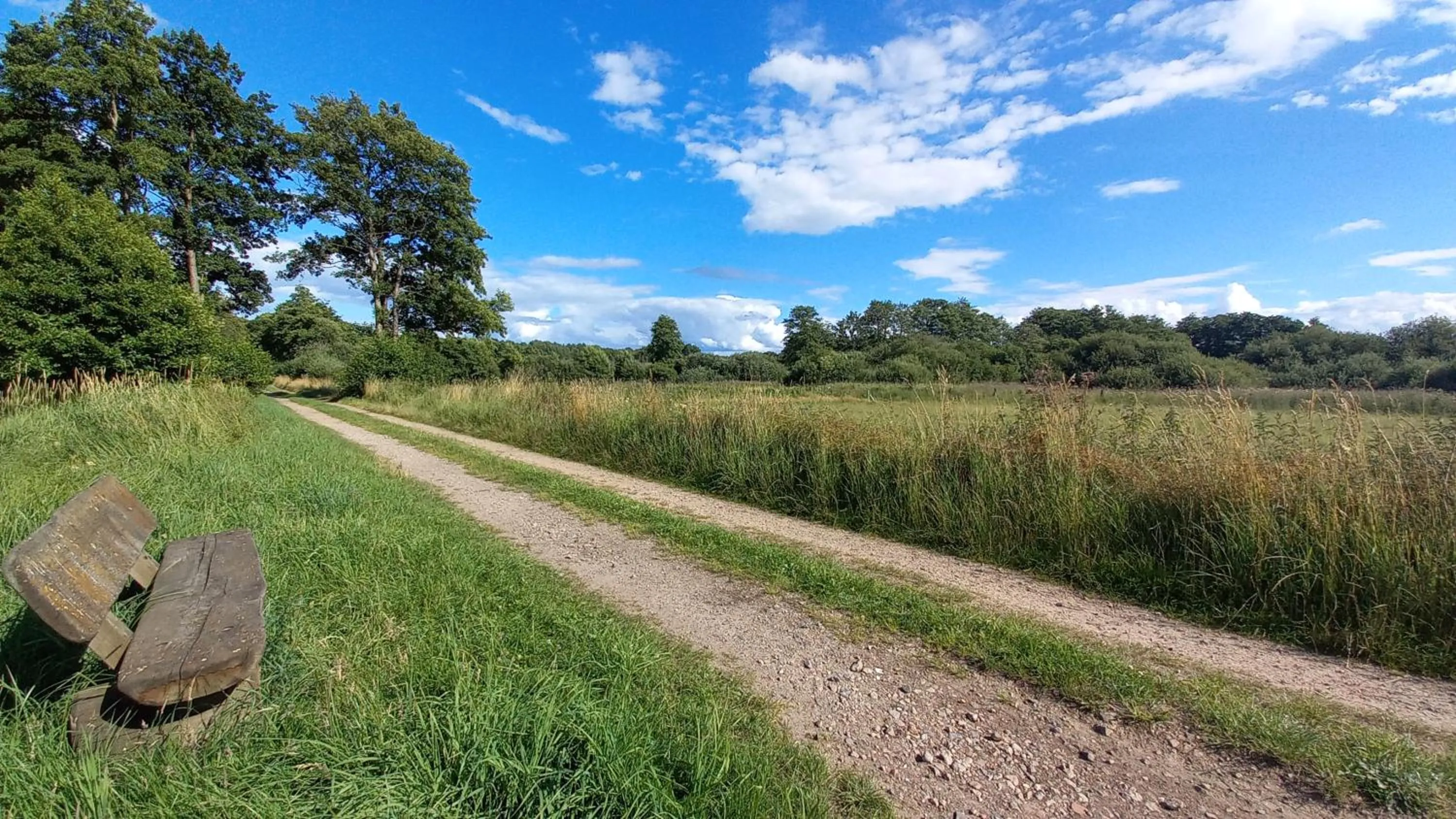 Hiking in Kräuterhotel & Restaurant Heidejäger