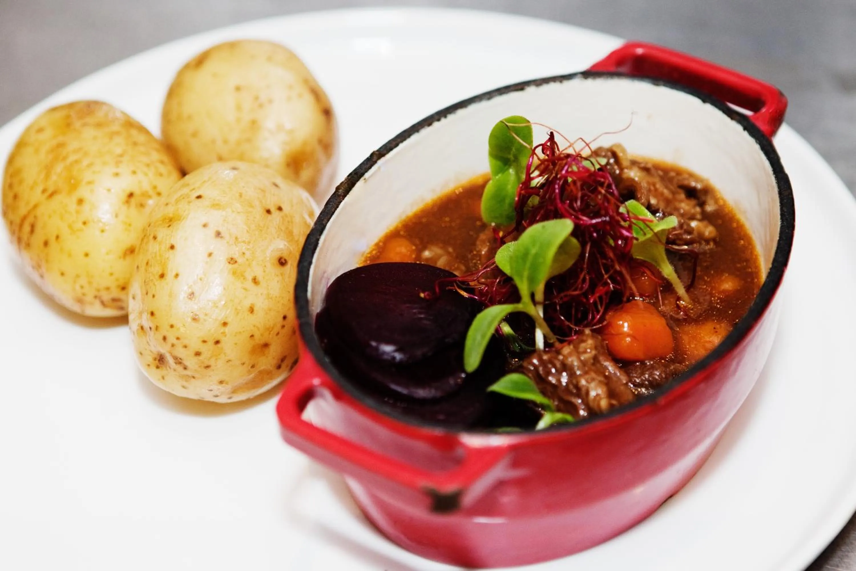 Restaurant/places to eat in City Backpackers Hostel