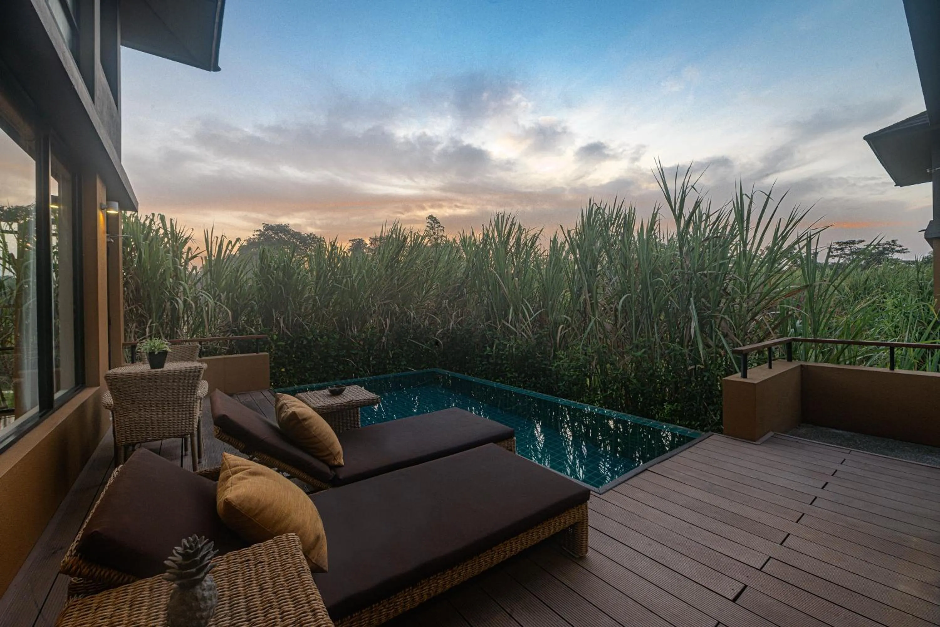 Garden view in Water Garden Sigiriya