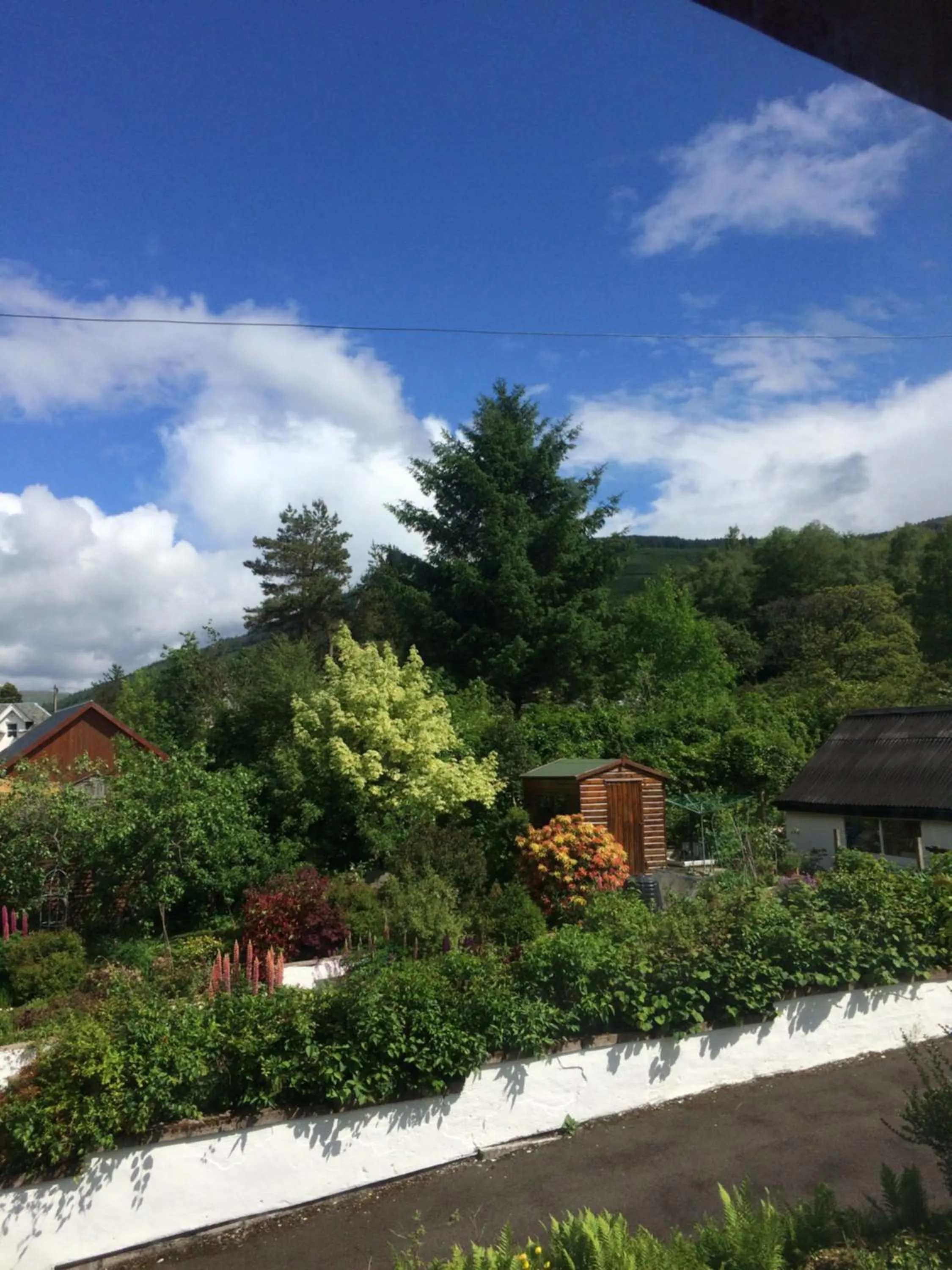 Garden view in The Ben Sheann
