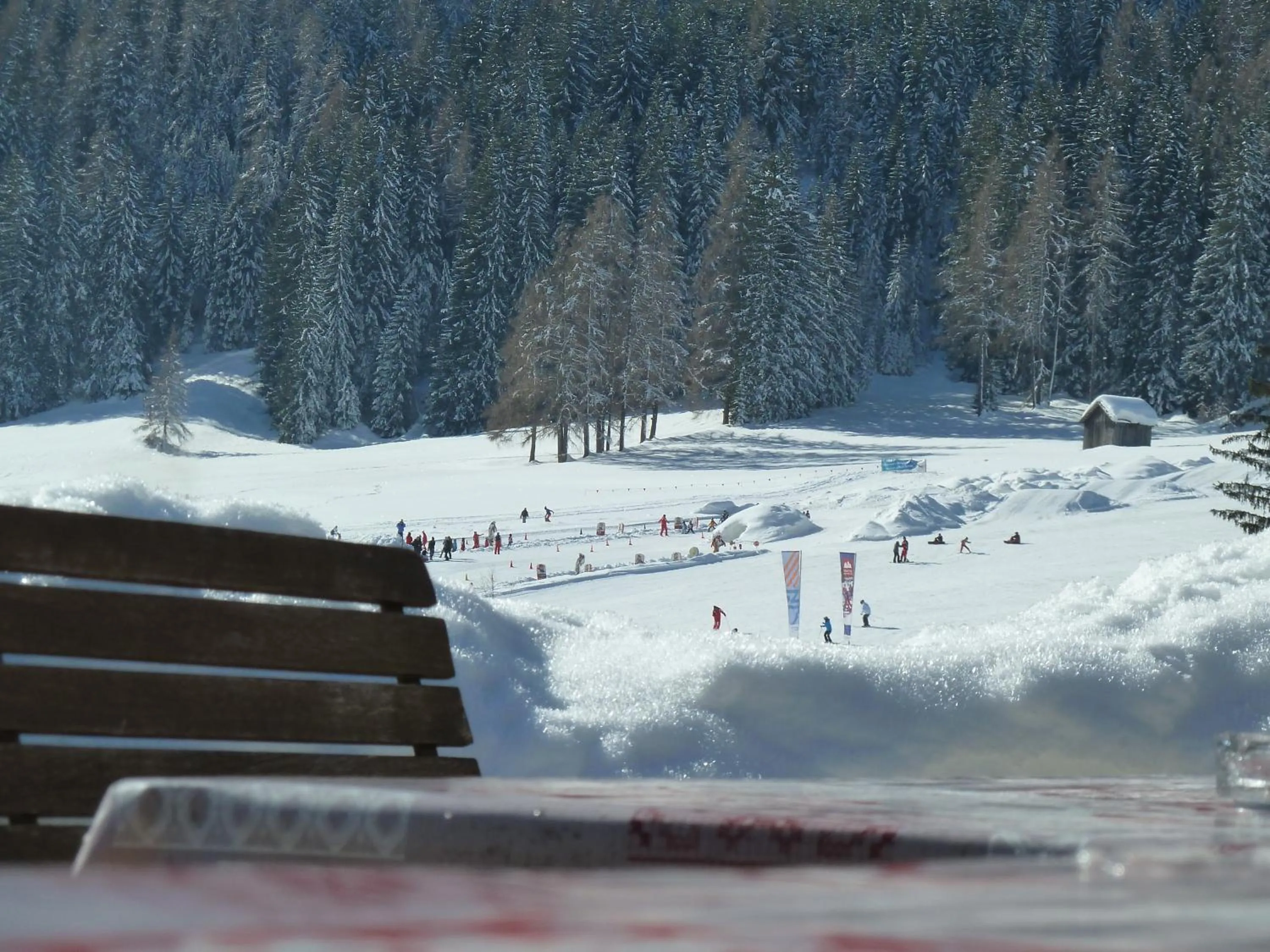 Ski School in Apartments Riega