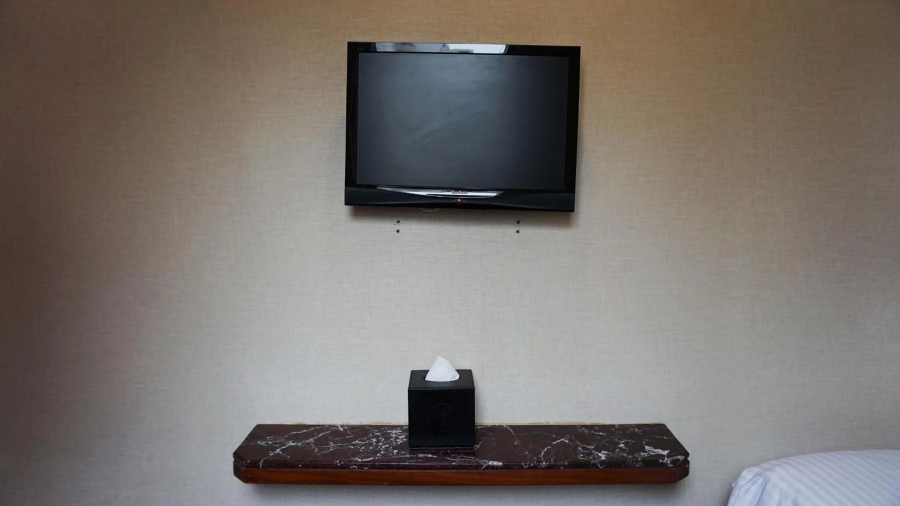 TV and multimedia in Oriental Lander Hotel