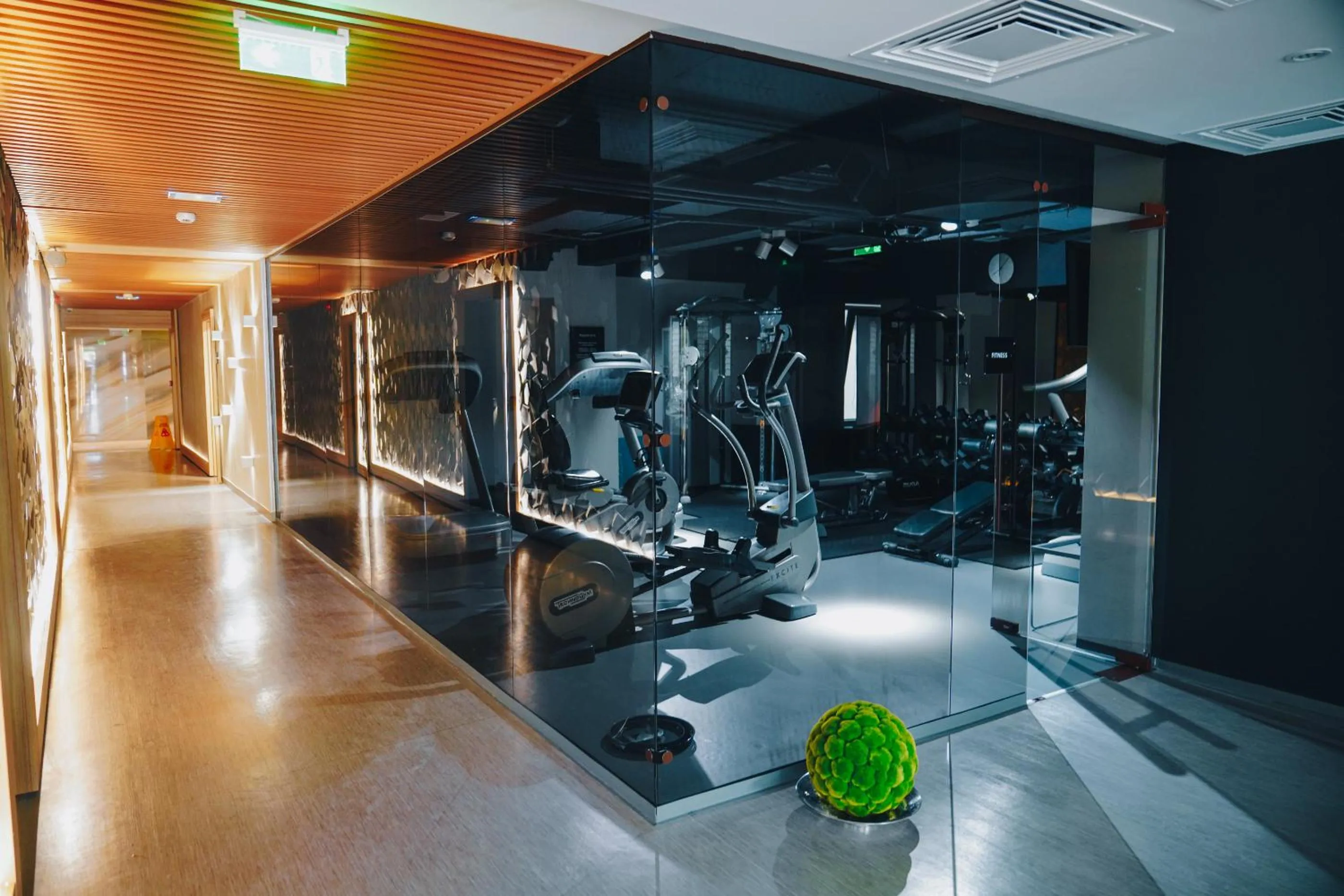 Fitness centre/facilities in Fabesca Boutique Hotel & SPA
