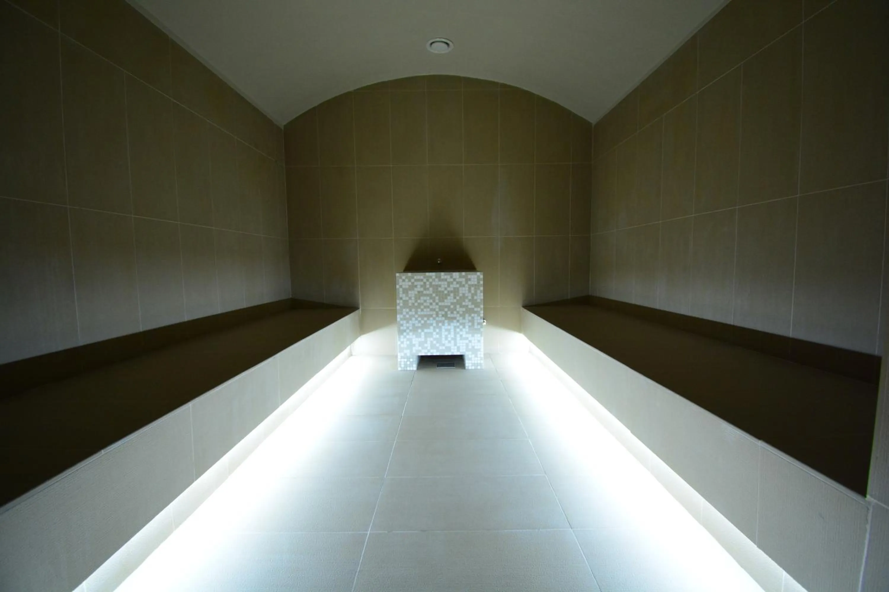 Sauna in Fabesca Boutique Hotel & SPA