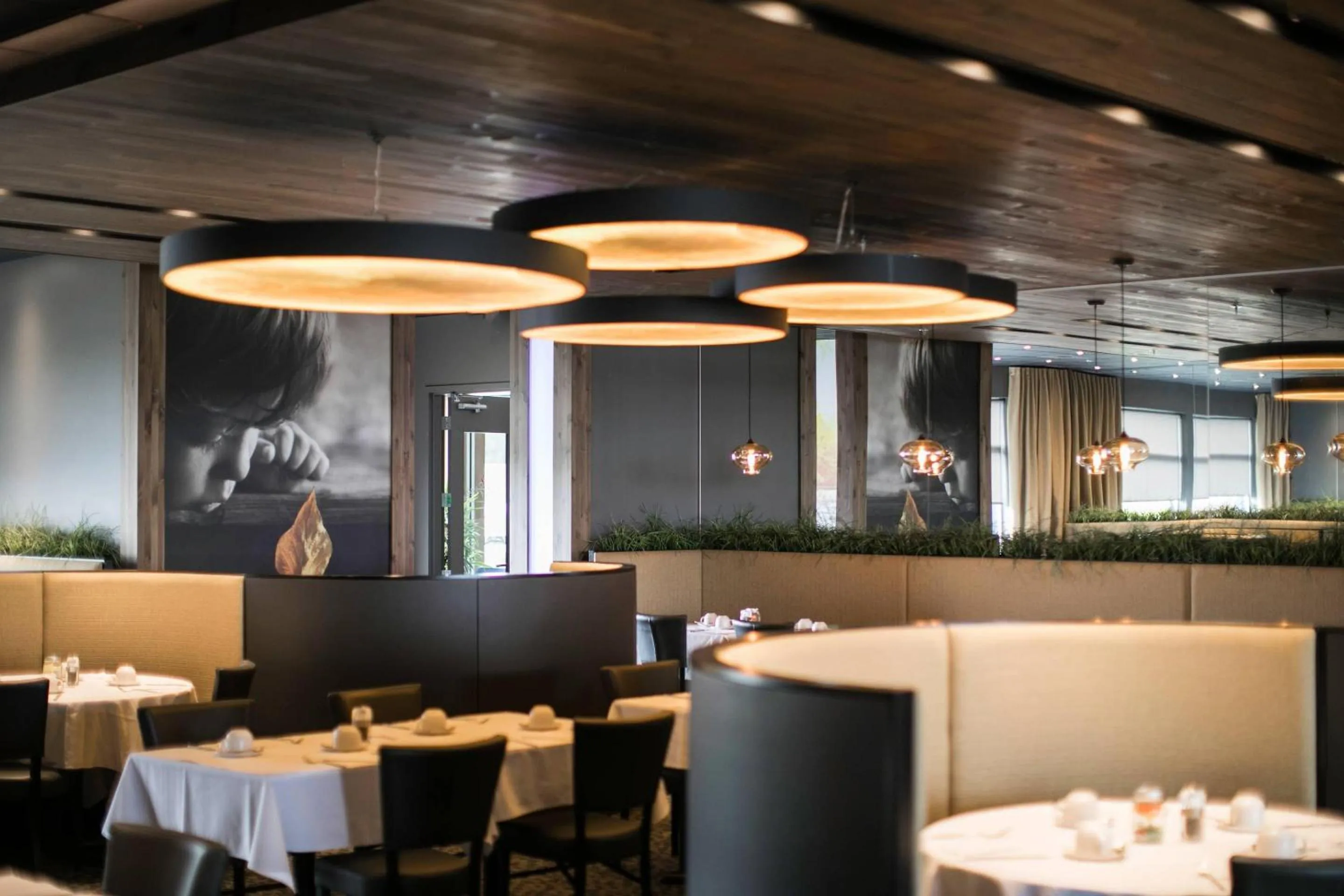 Restaurant/places to eat in Hotel du Domaine, an Ascend Collection Hotel