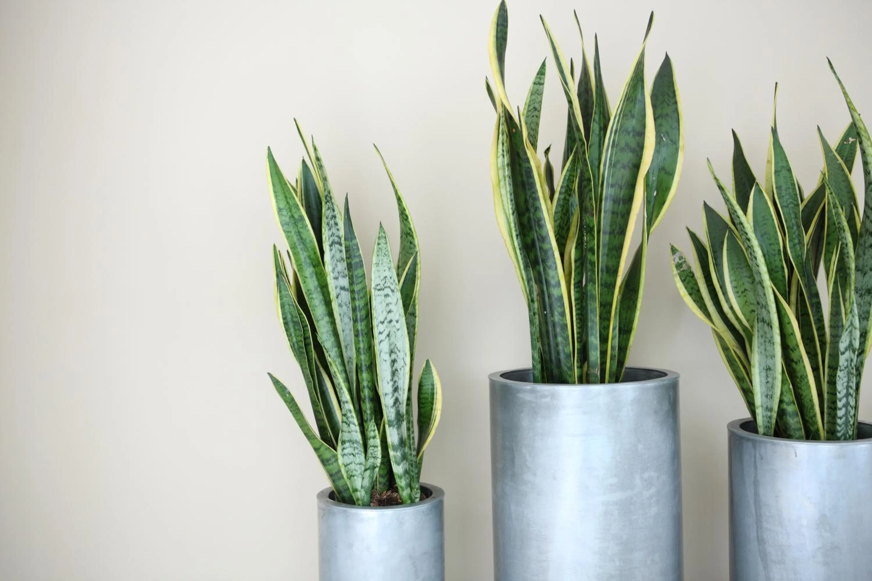 Decorative detail in The Grey Design Hotel