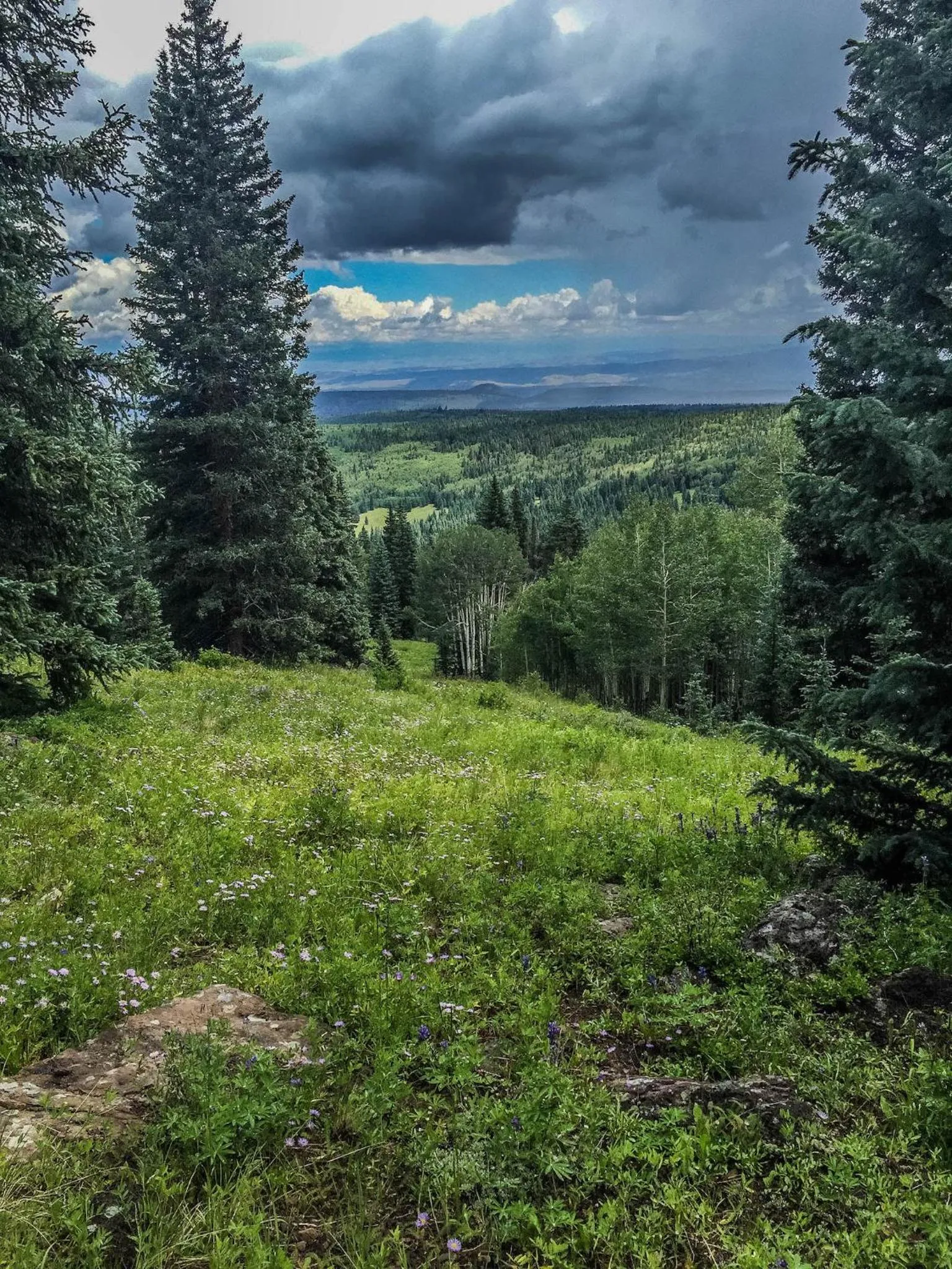 Arrowhead Mountain Lodge