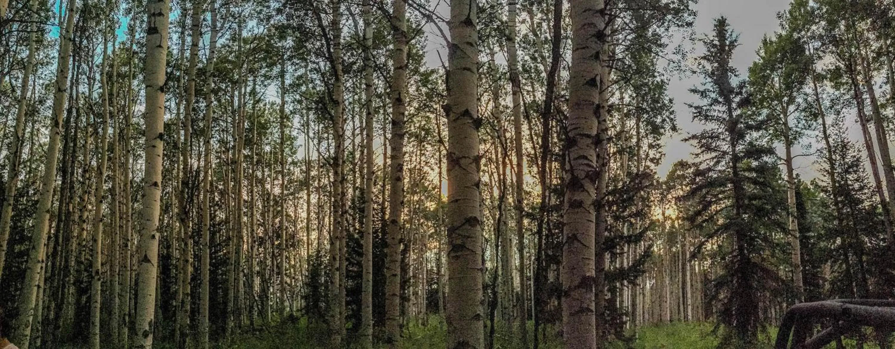 Arrowhead Mountain Lodge