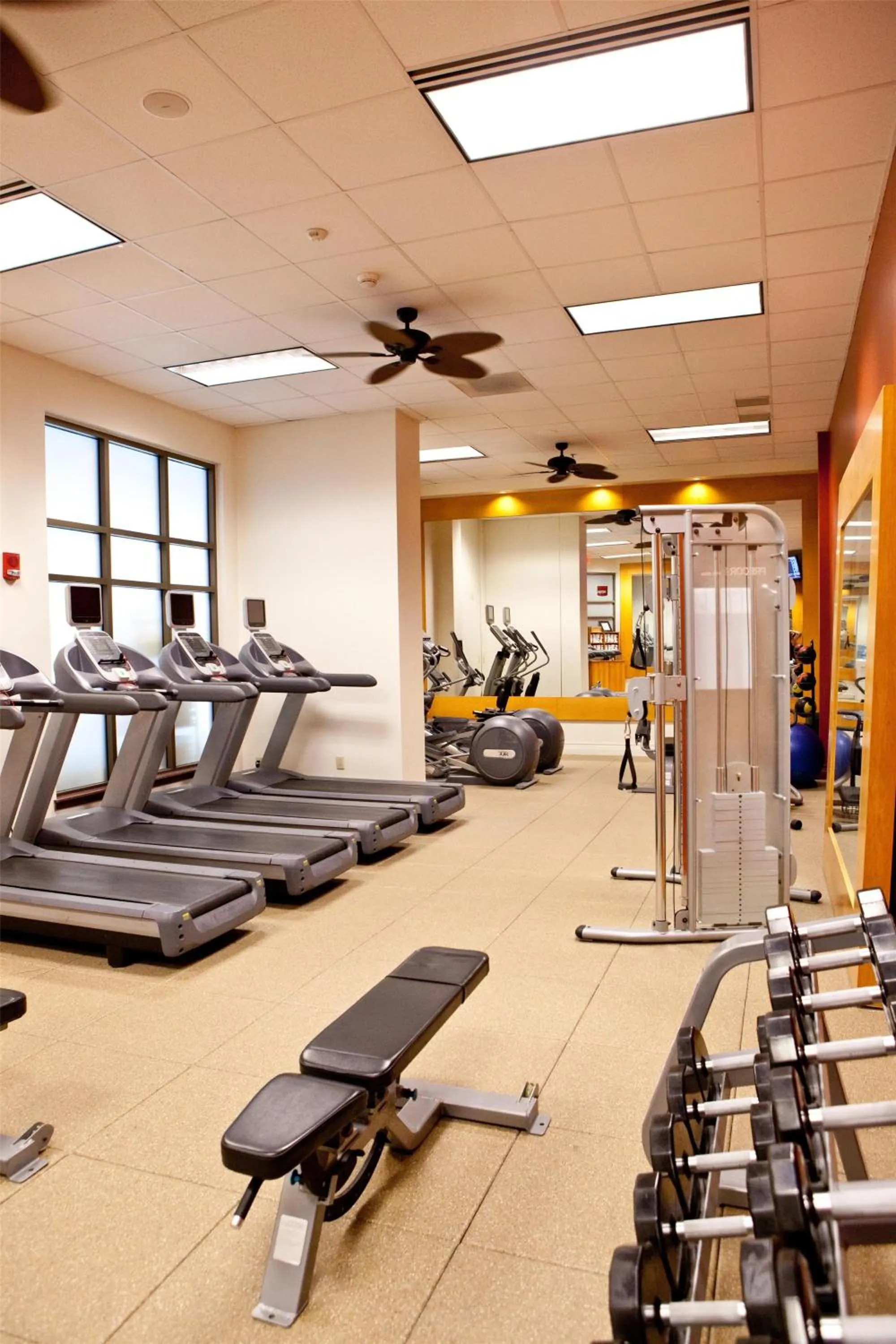 Fitness centre/facilities in Embassy Suites by Hilton Charlotte Concord Golf Resort & Spa