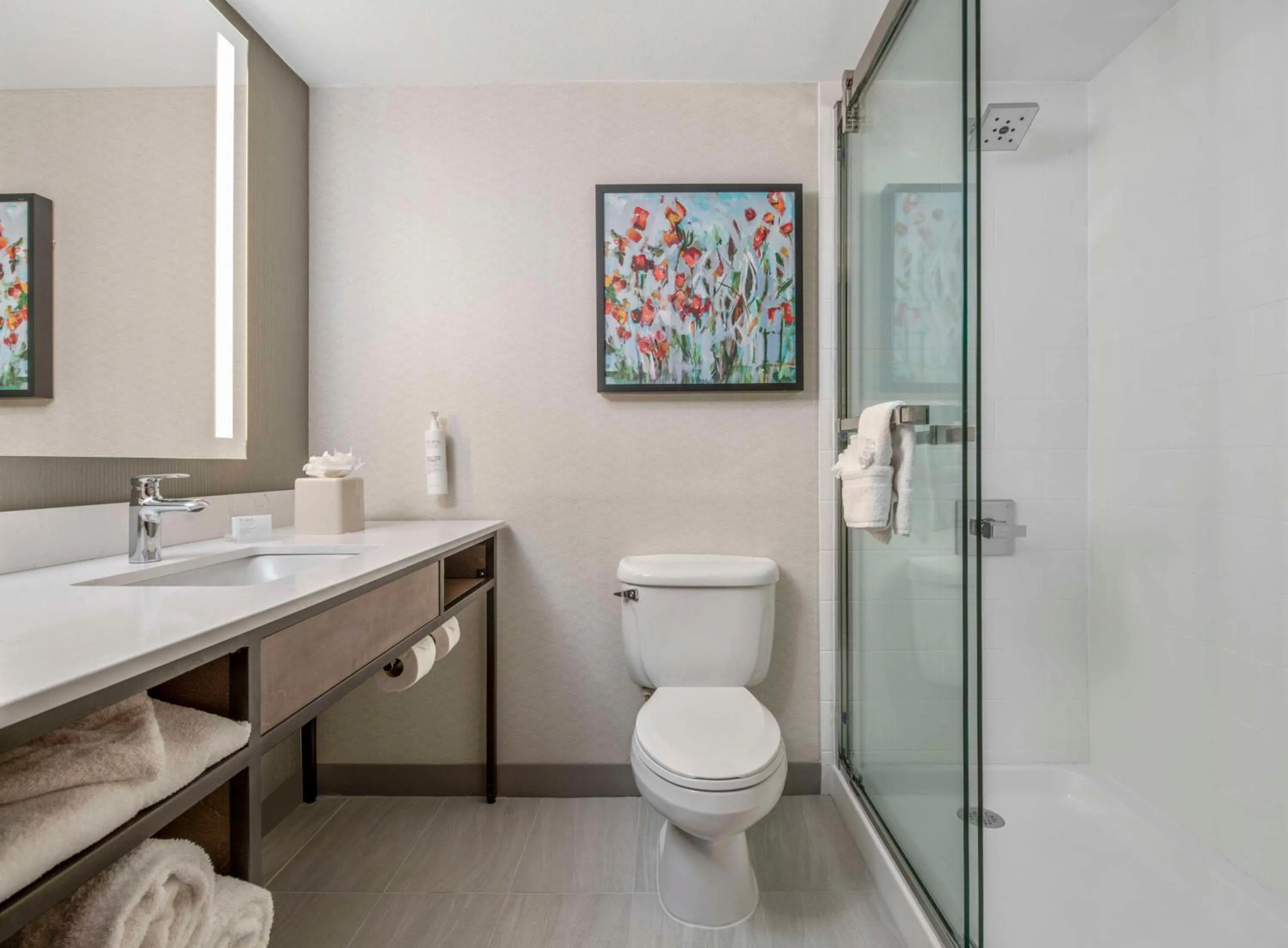 Bathroom in Hilton Garden Inn Dallas/Allen