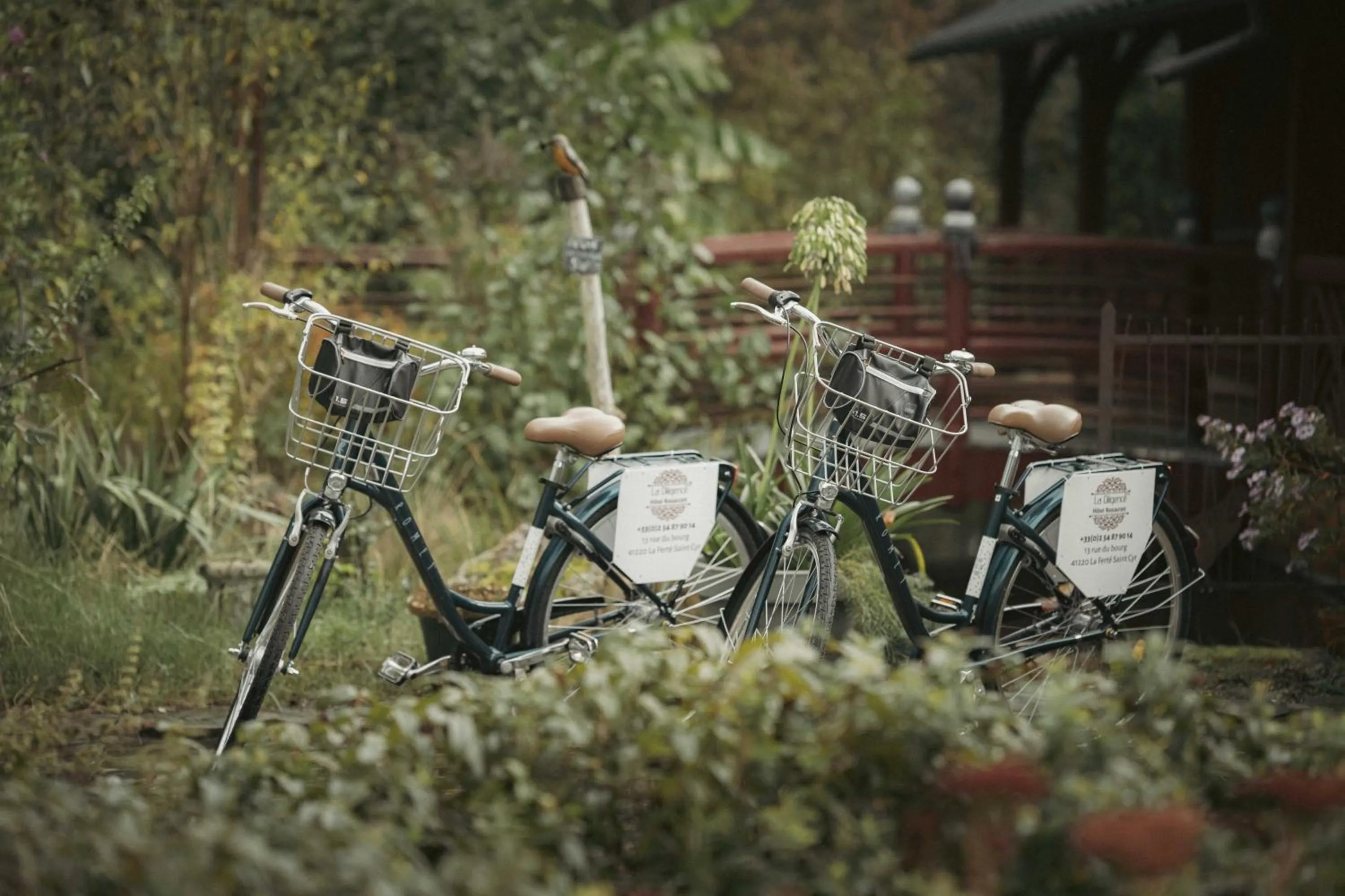 Cycling in Logis Hotel La Diligence