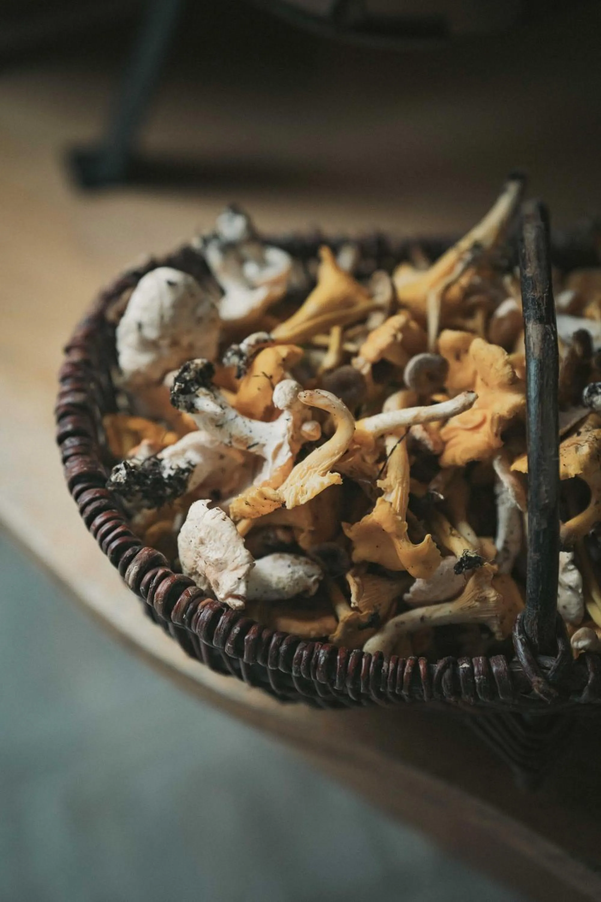 Restaurant/places to eat in Logis Hotel La Diligence