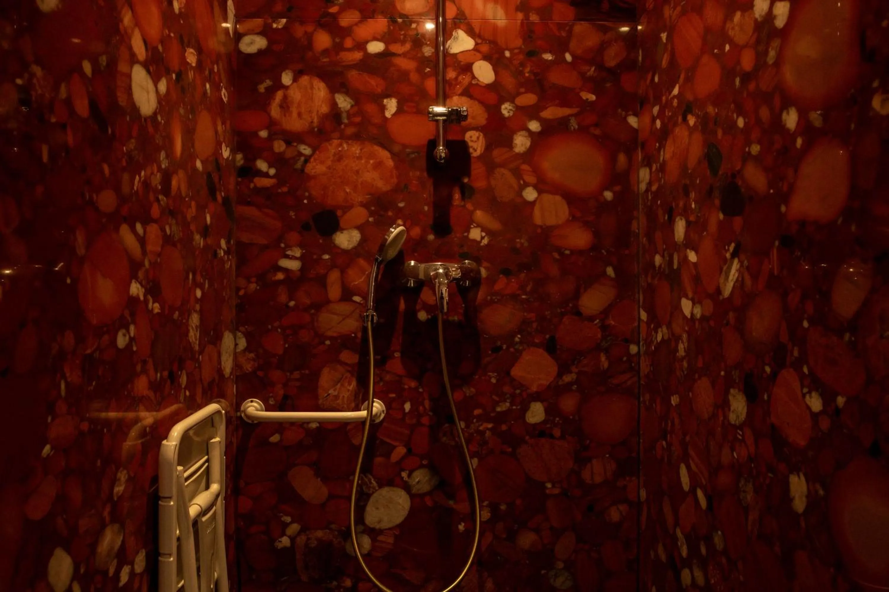 Shower in Logis Hotel La Diligence