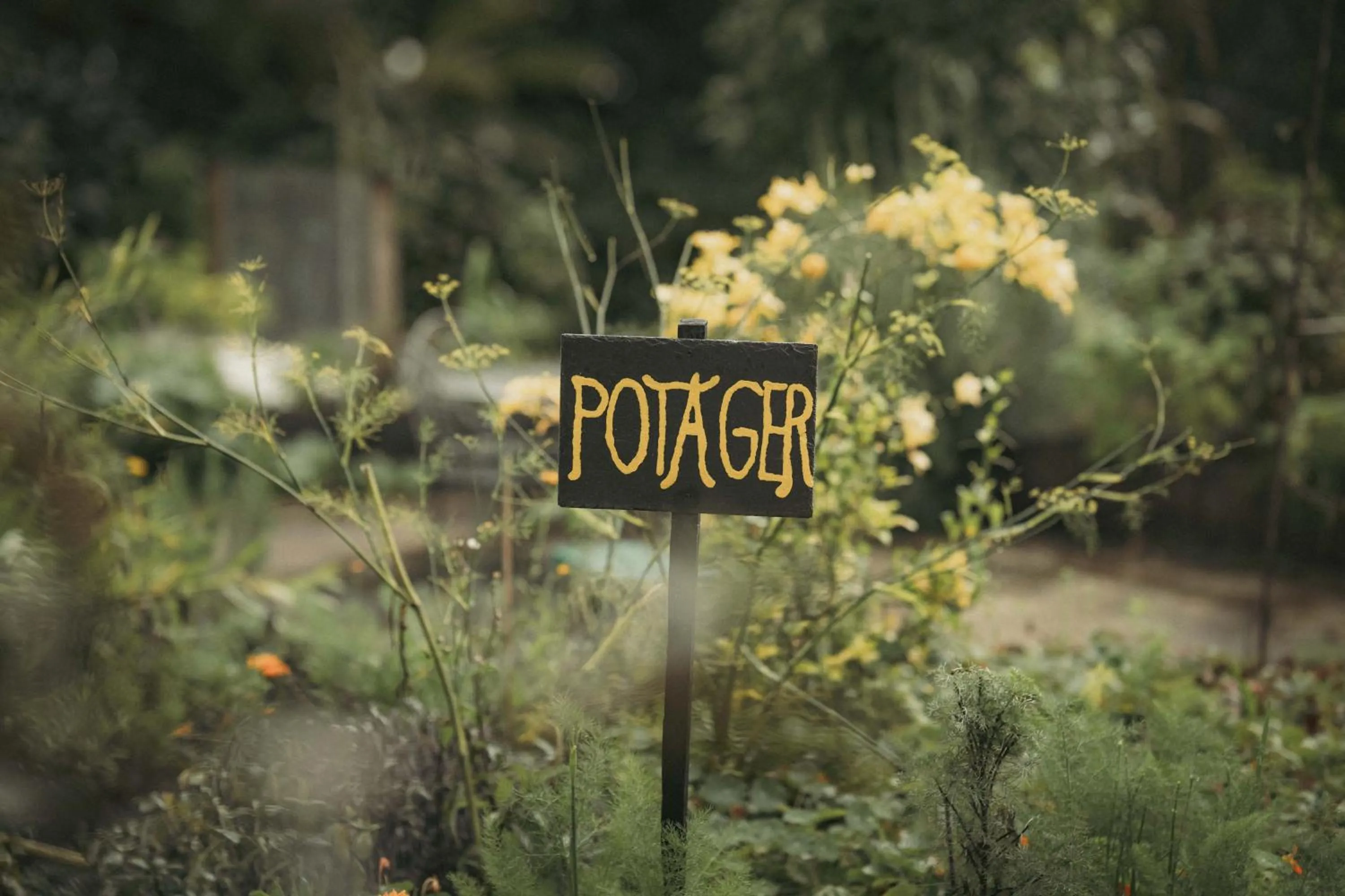 Garden in Logis Hotel La Diligence