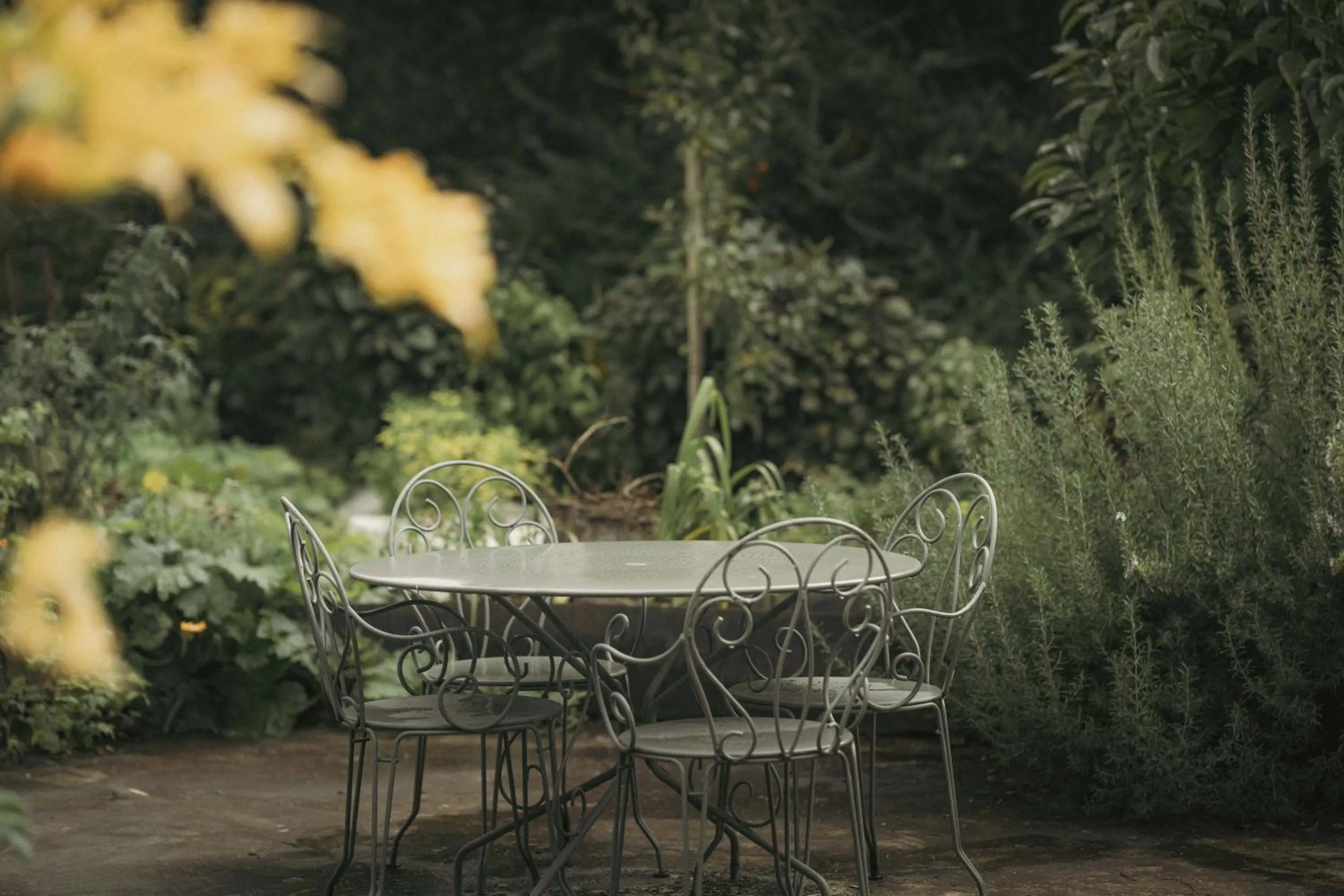 Garden in Logis Hotel La Diligence
