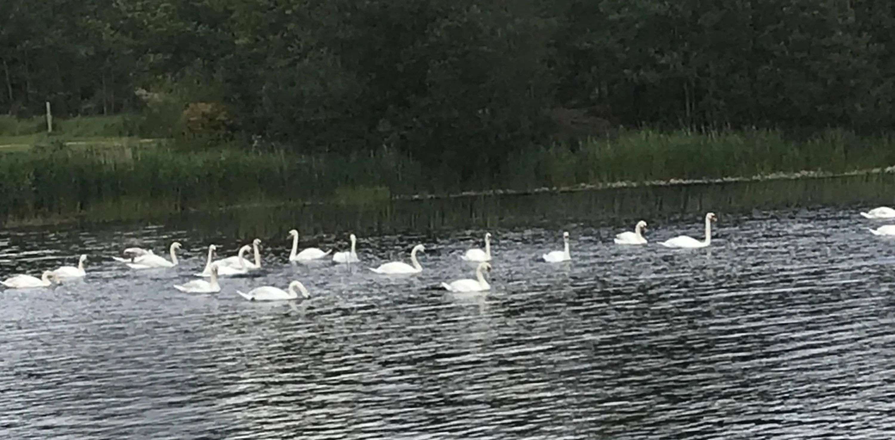 Natural landscape in St Kyrans Guest House
